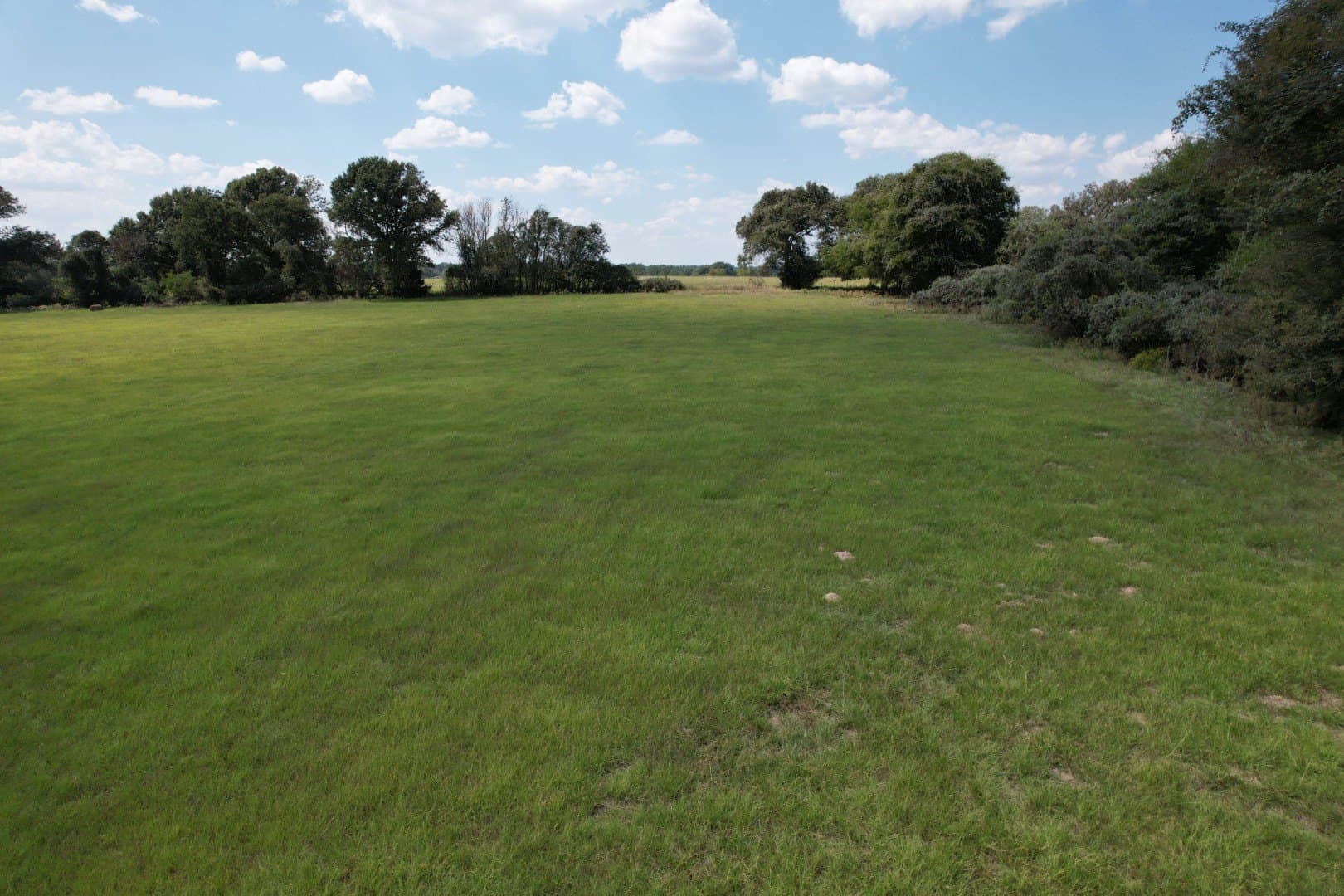 43 acres in Anderson County - photo 11