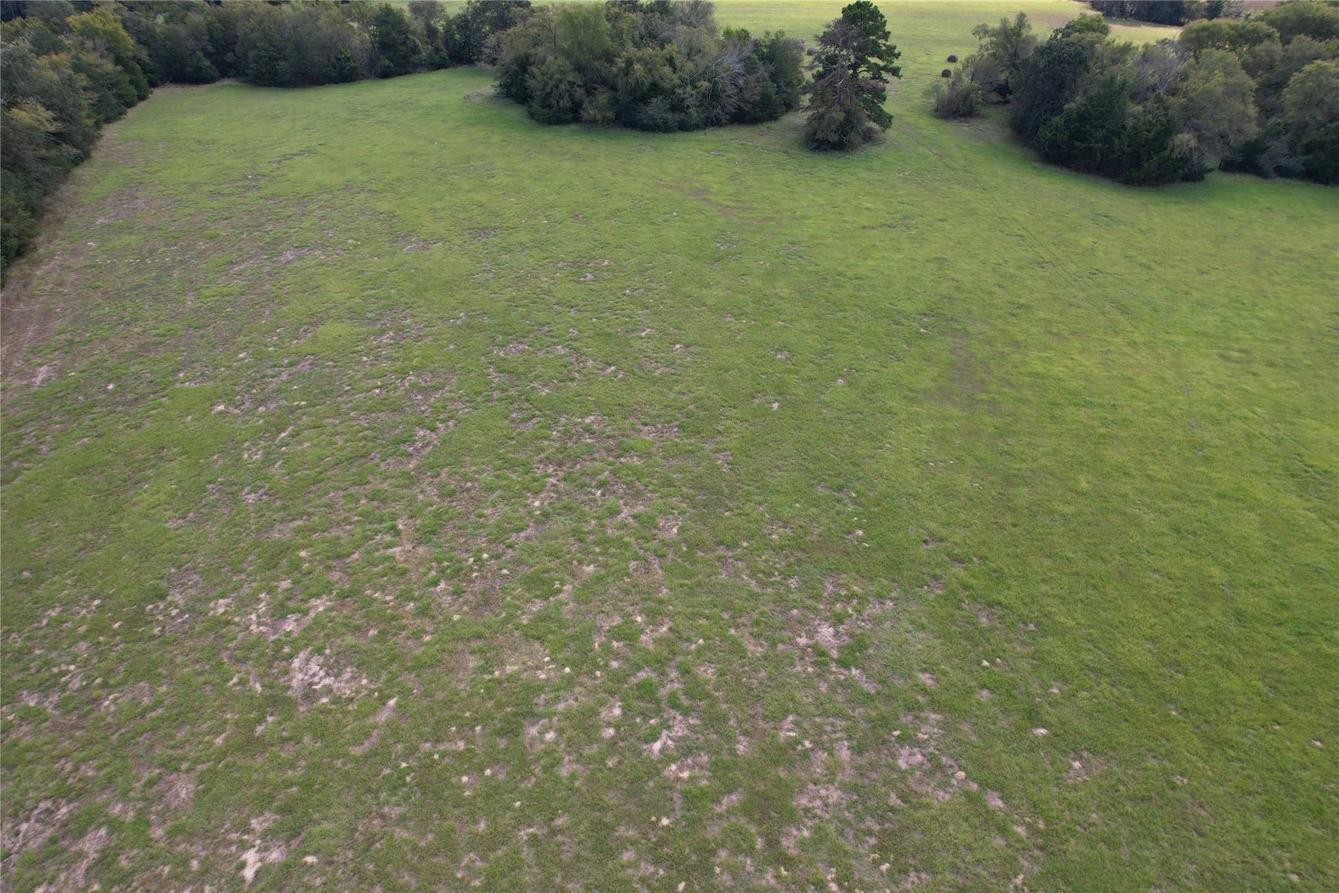 43 acres in Anderson County - photo 9