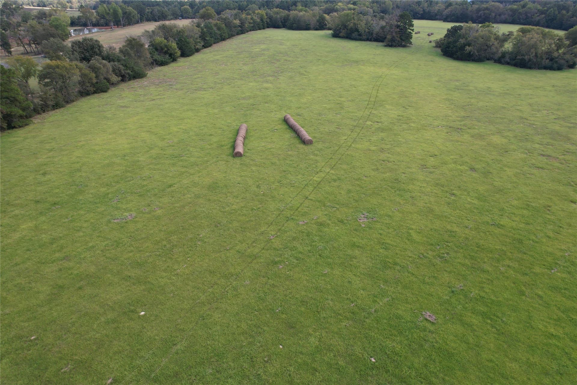 43 acres in Anderson County - photo 5
