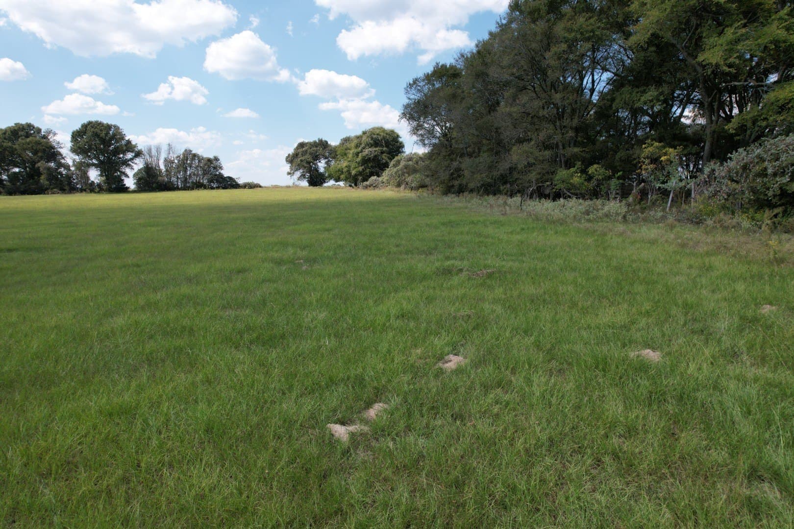 43 acres in Anderson County - photo 10