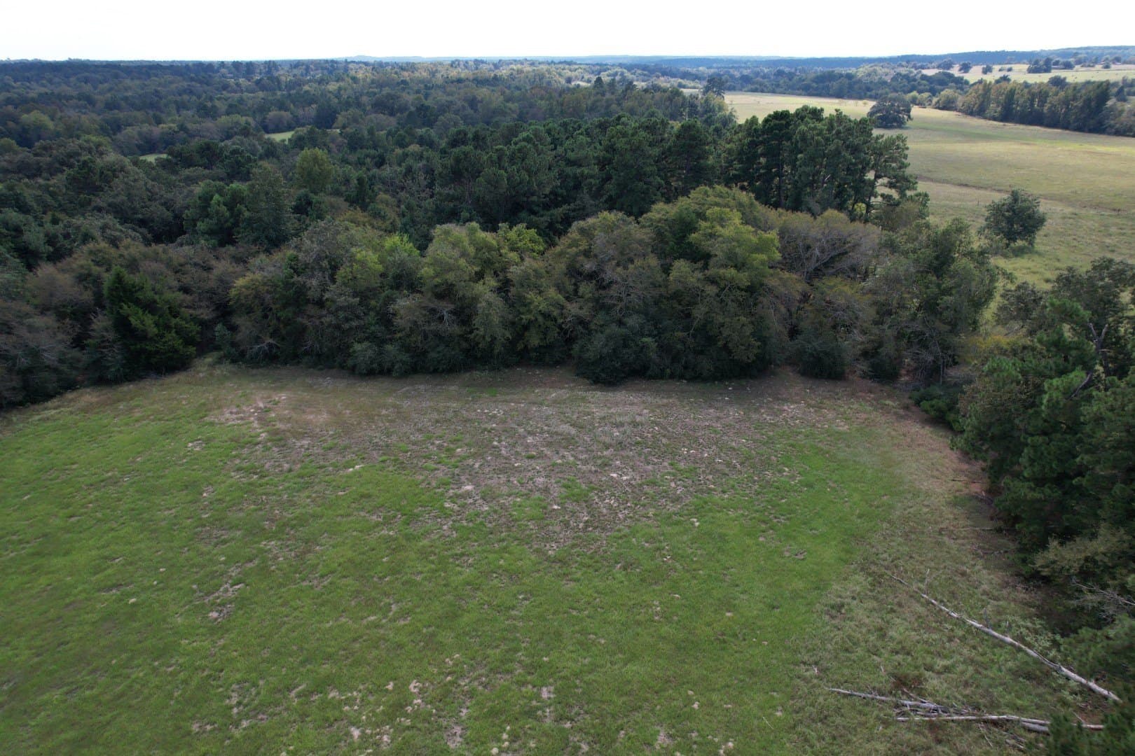 43 acres in Anderson County - photo 15