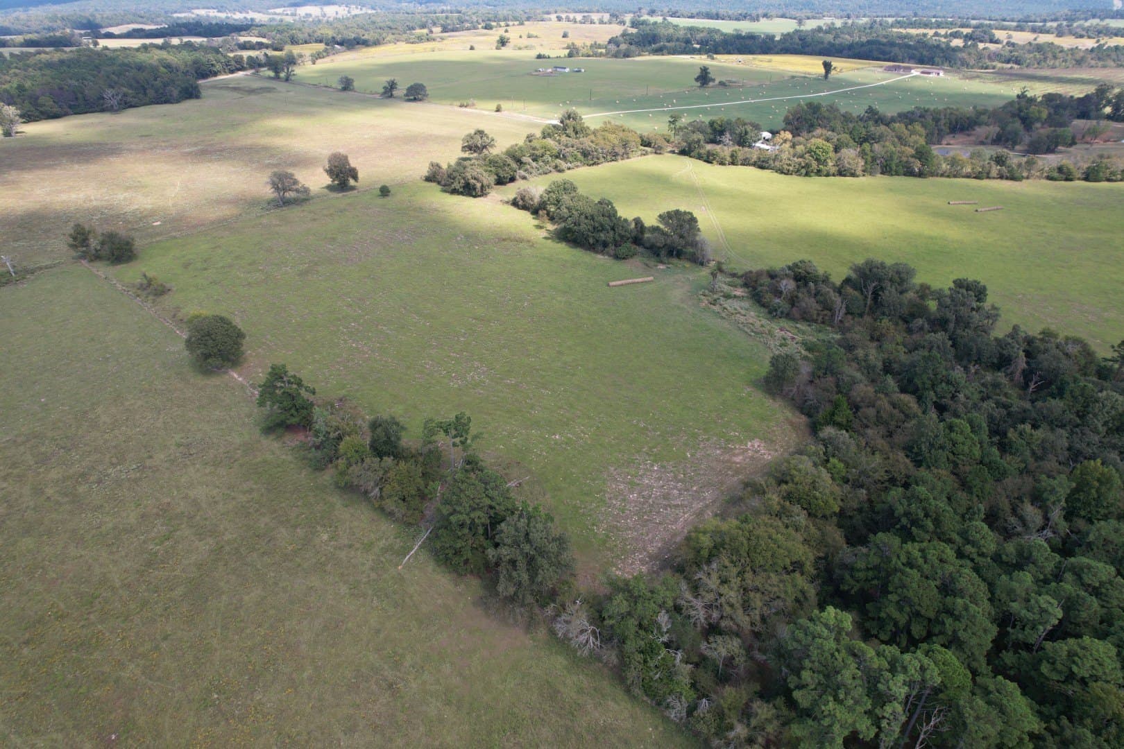 43 acres in Anderson County - photo 2