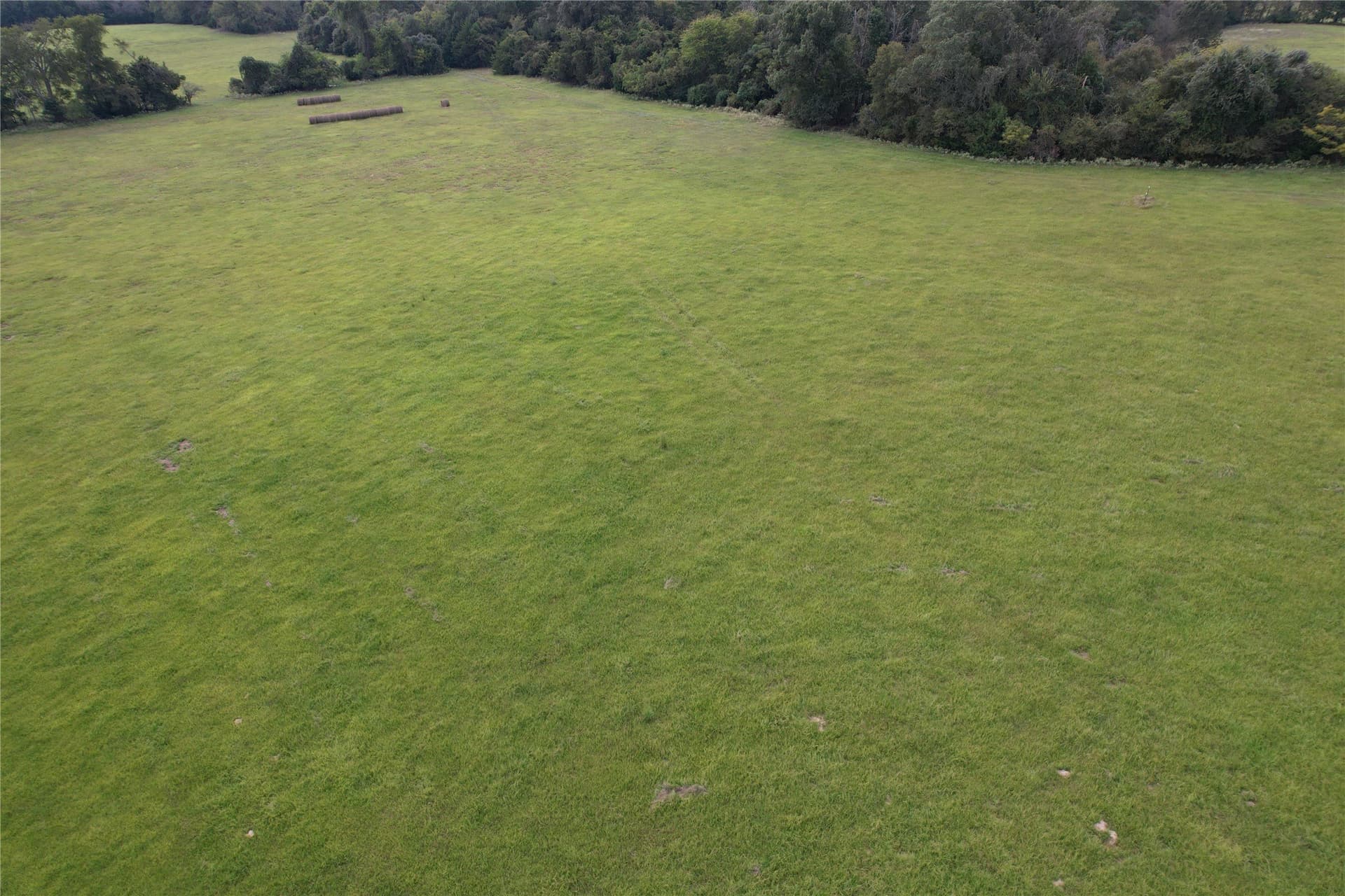 43 acres in Anderson County - photo 6
