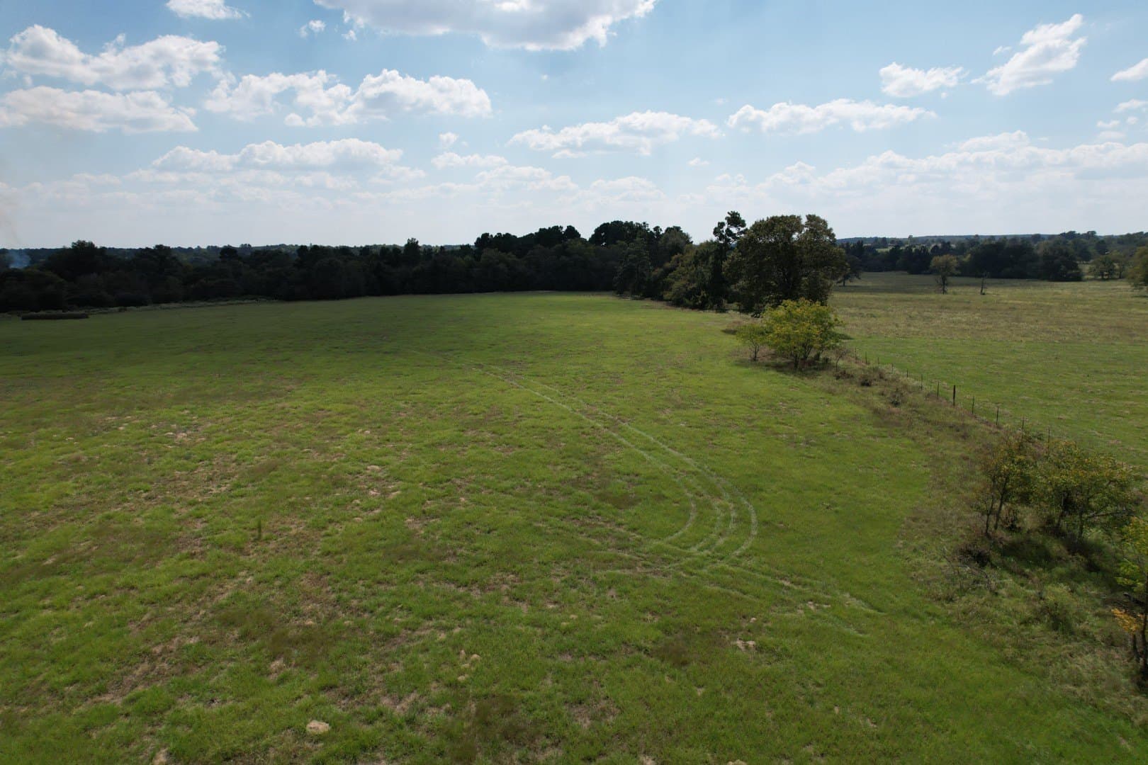 43 acres in Anderson County - photo 14