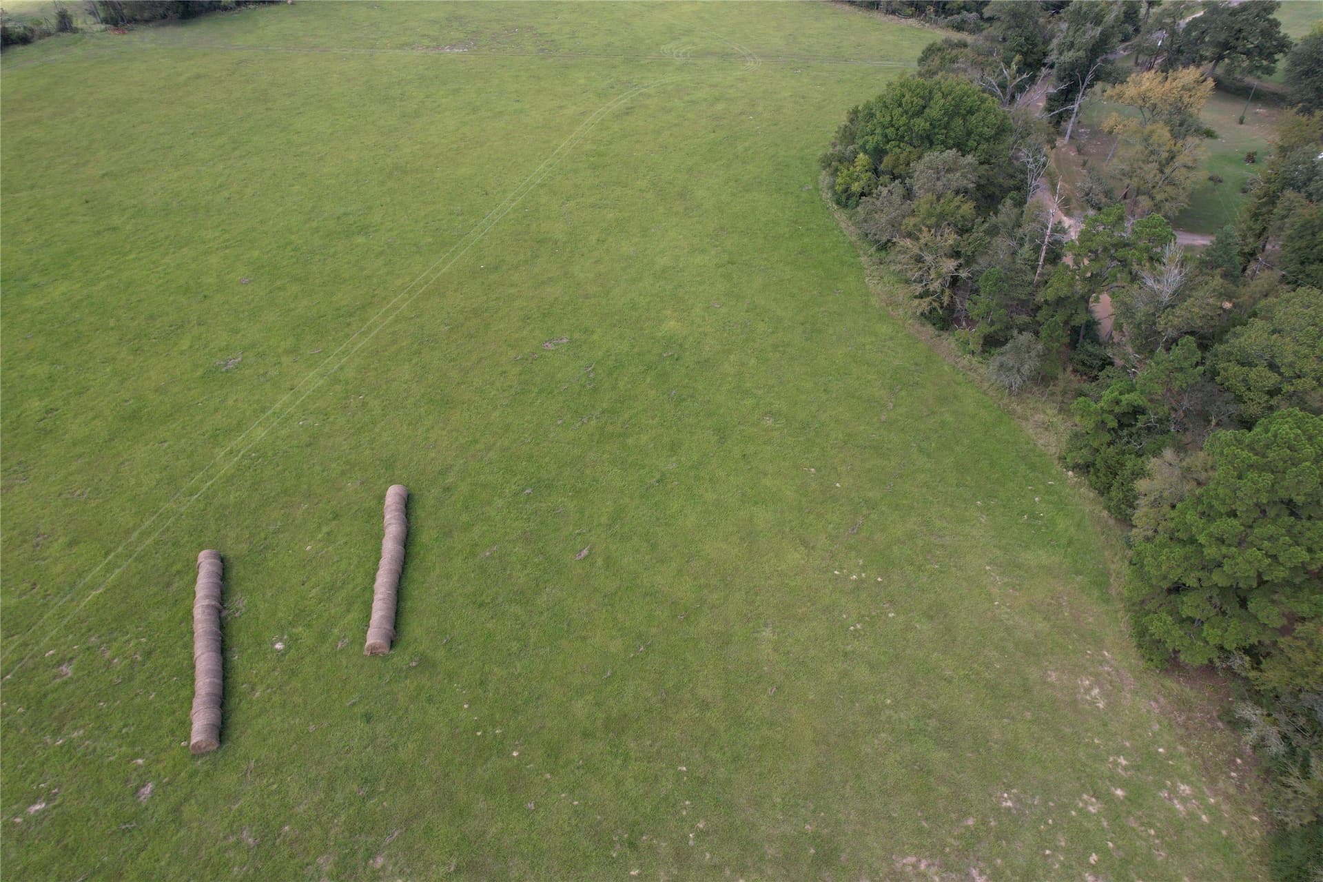 43 acres in Anderson County - photo 8