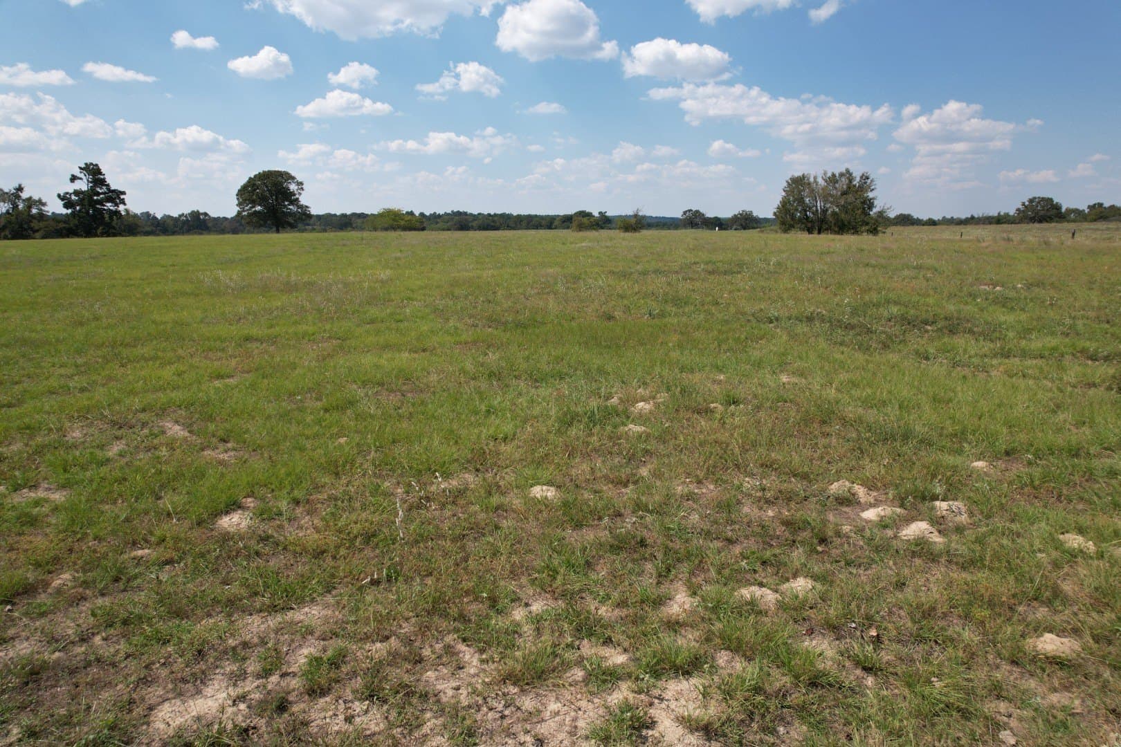 43 acres in Anderson County - photo 12