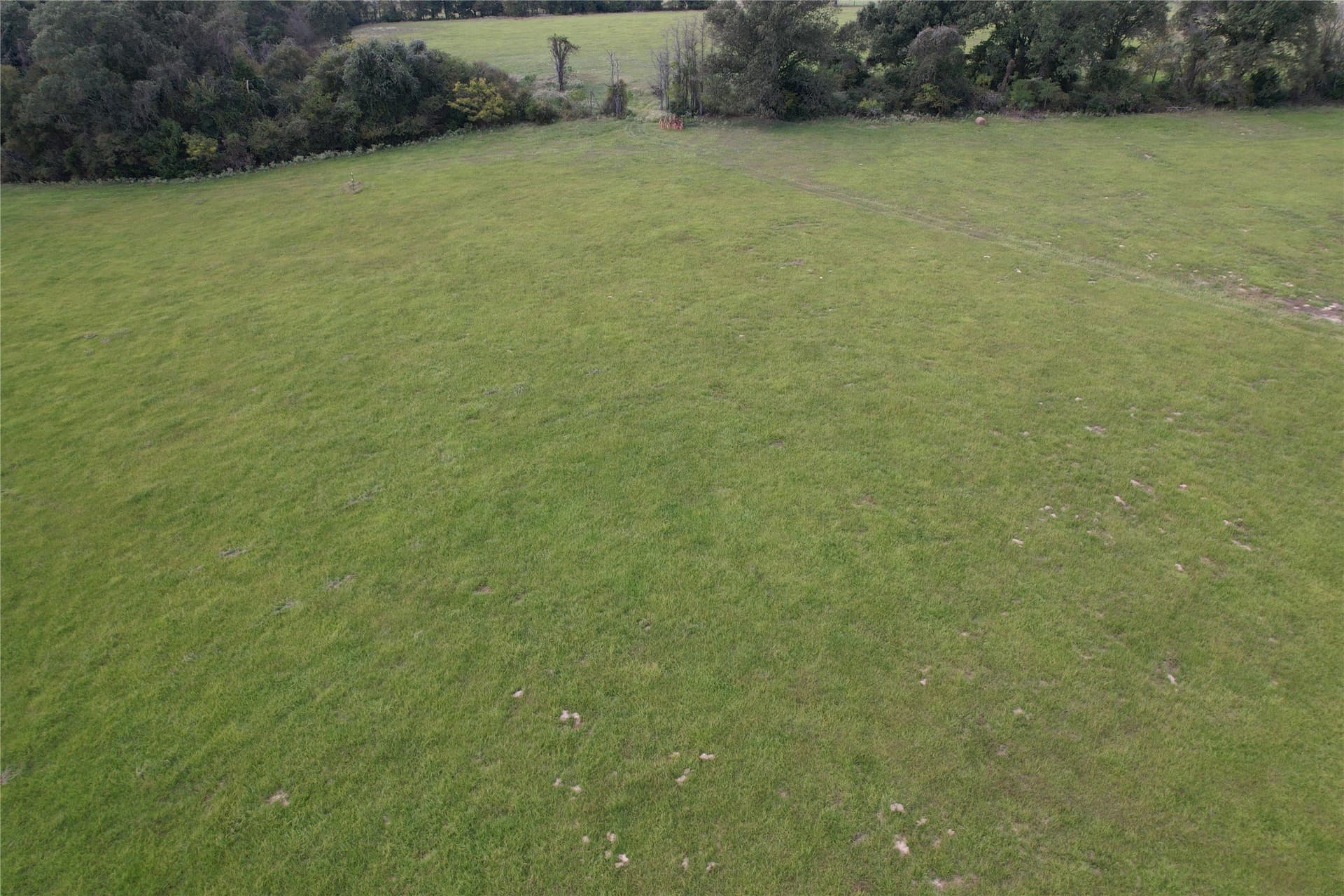 43 acres in Anderson County - photo 7