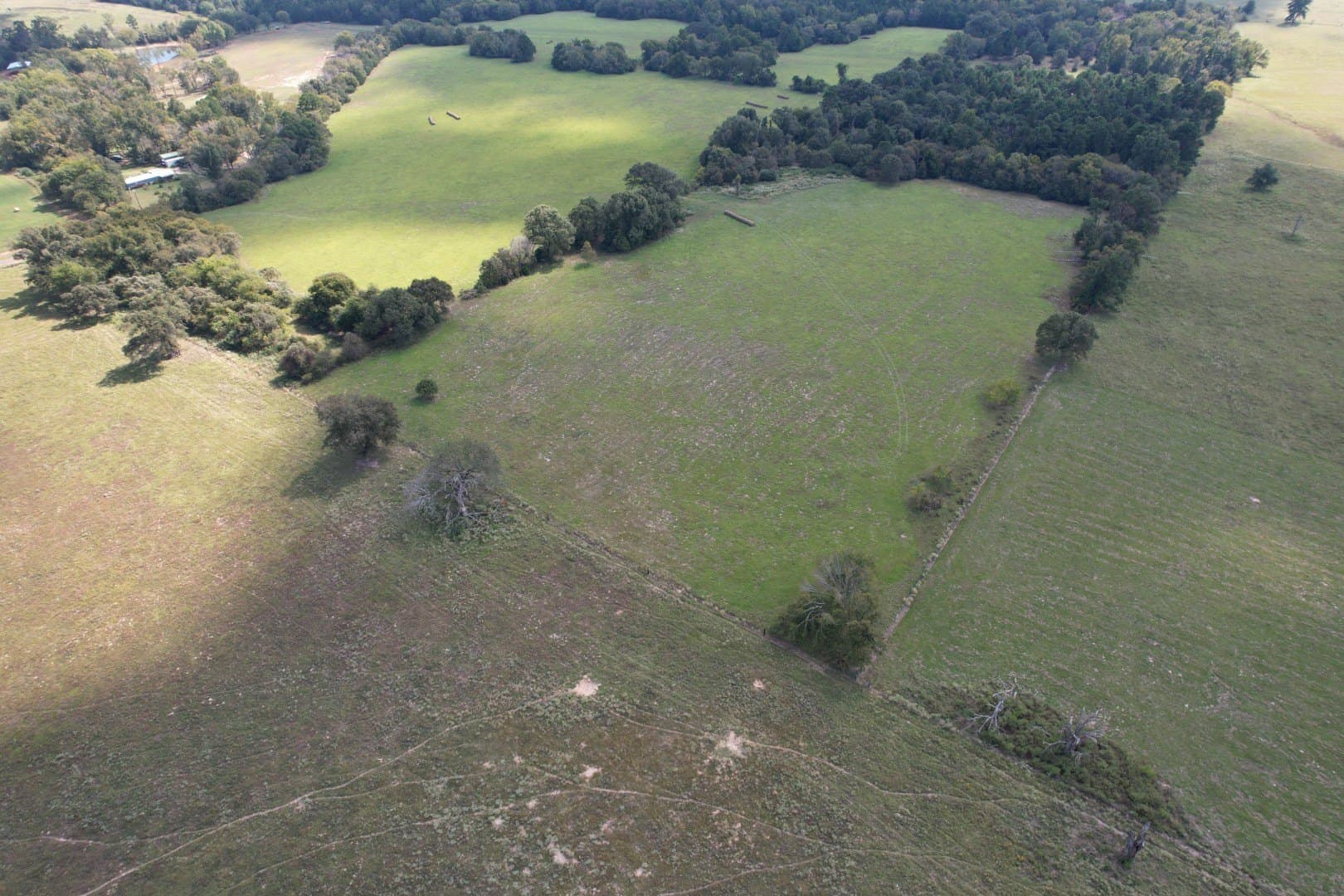43 acres in Anderson County - photo 3