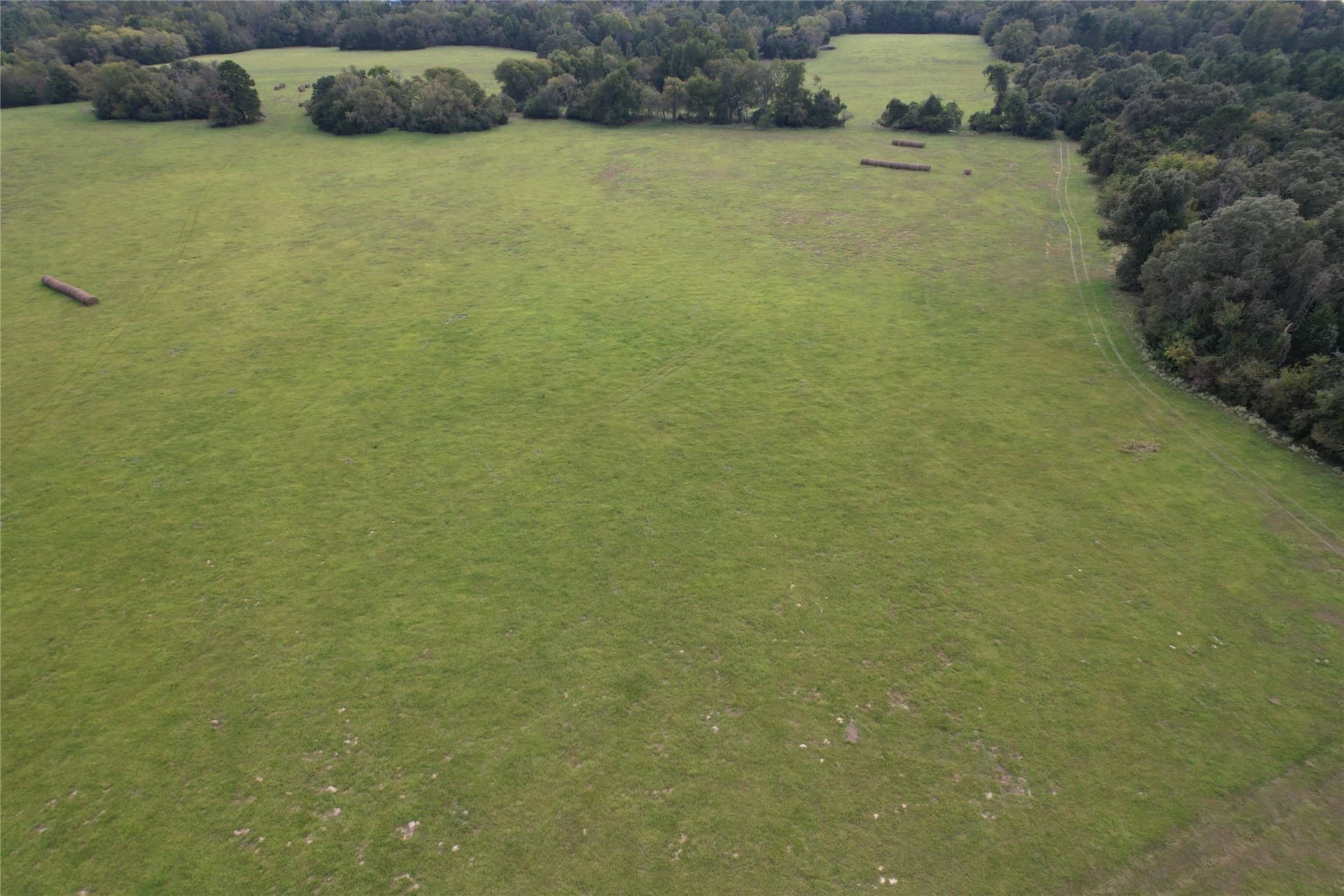 43 acres in Anderson County - photo 4