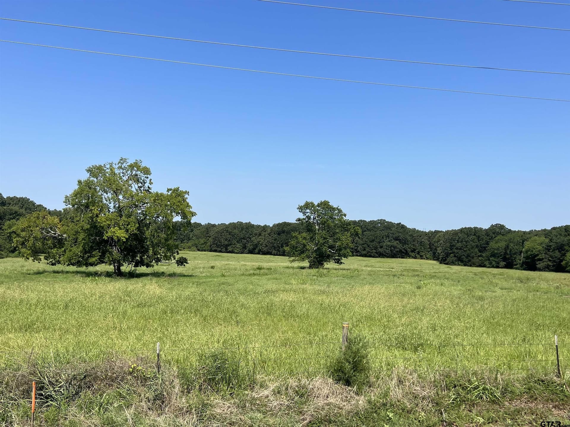 80 acres in Titus County featured view