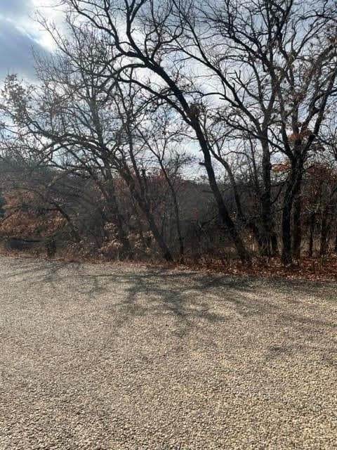 0.39 acres in Wise County - photo 4