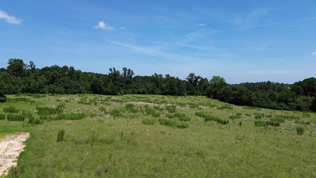 20.17 acres in Texas County - photo 24