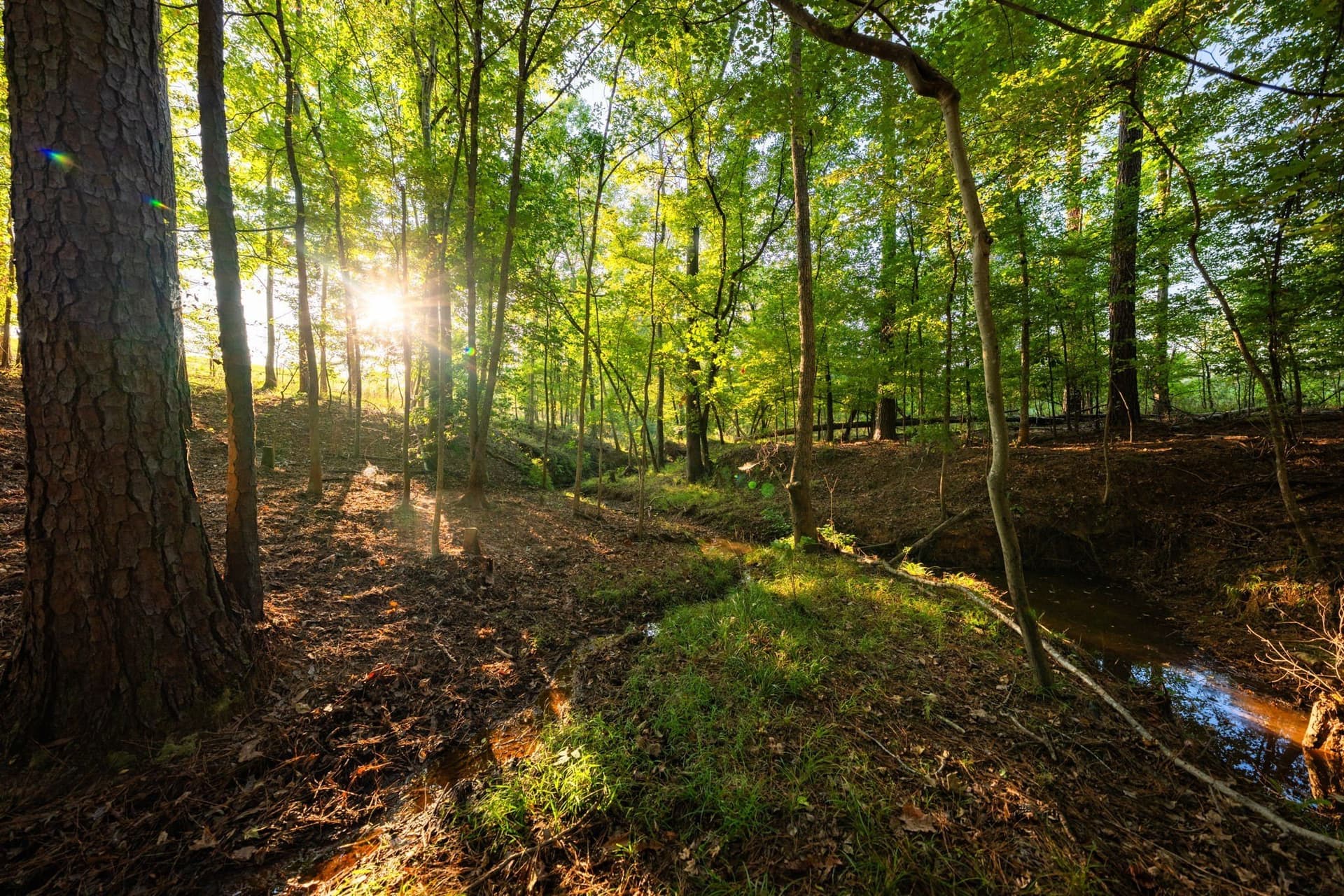 494.46 acres in Smith County - photo 8