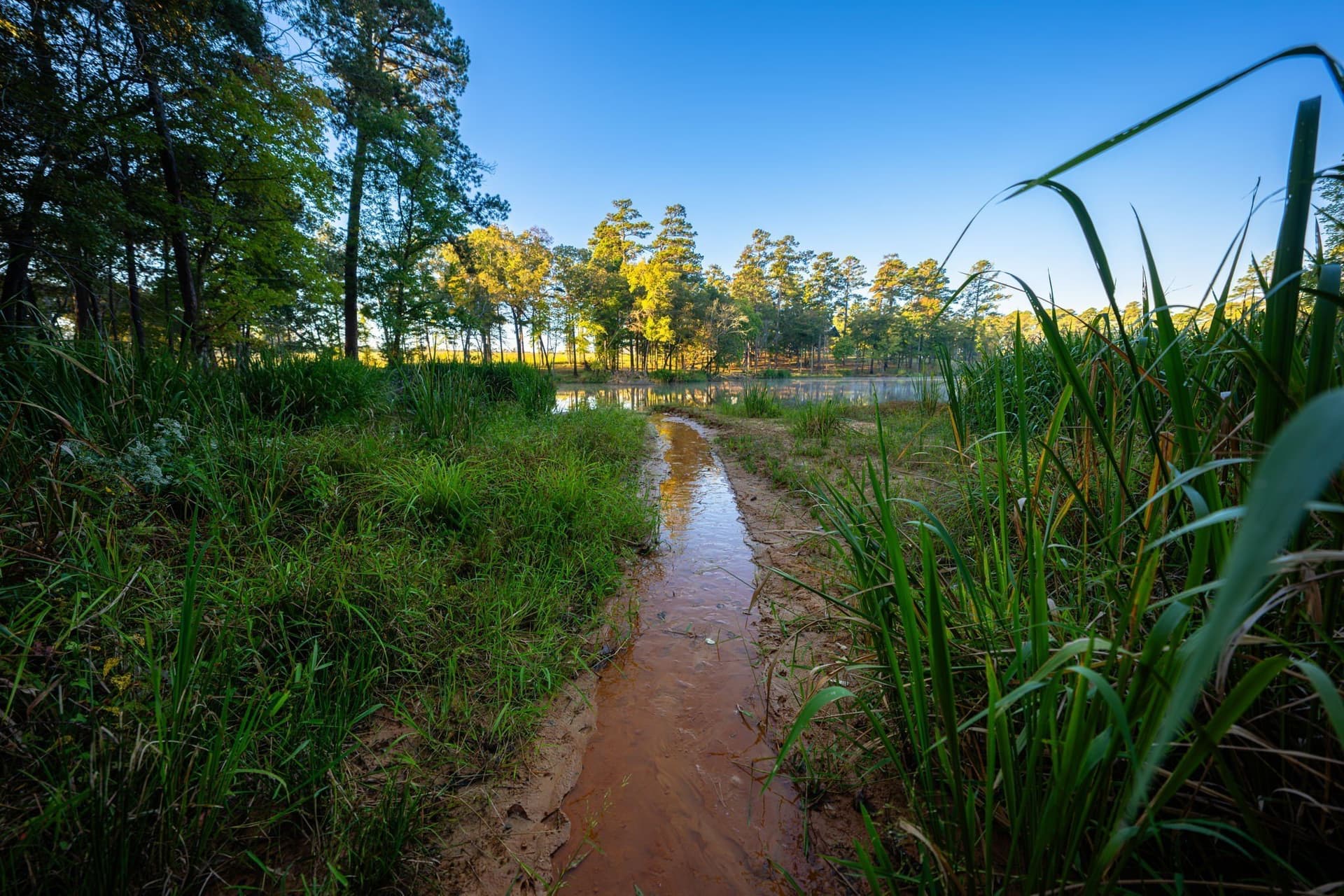 494.46 acres in Smith County - photo 5