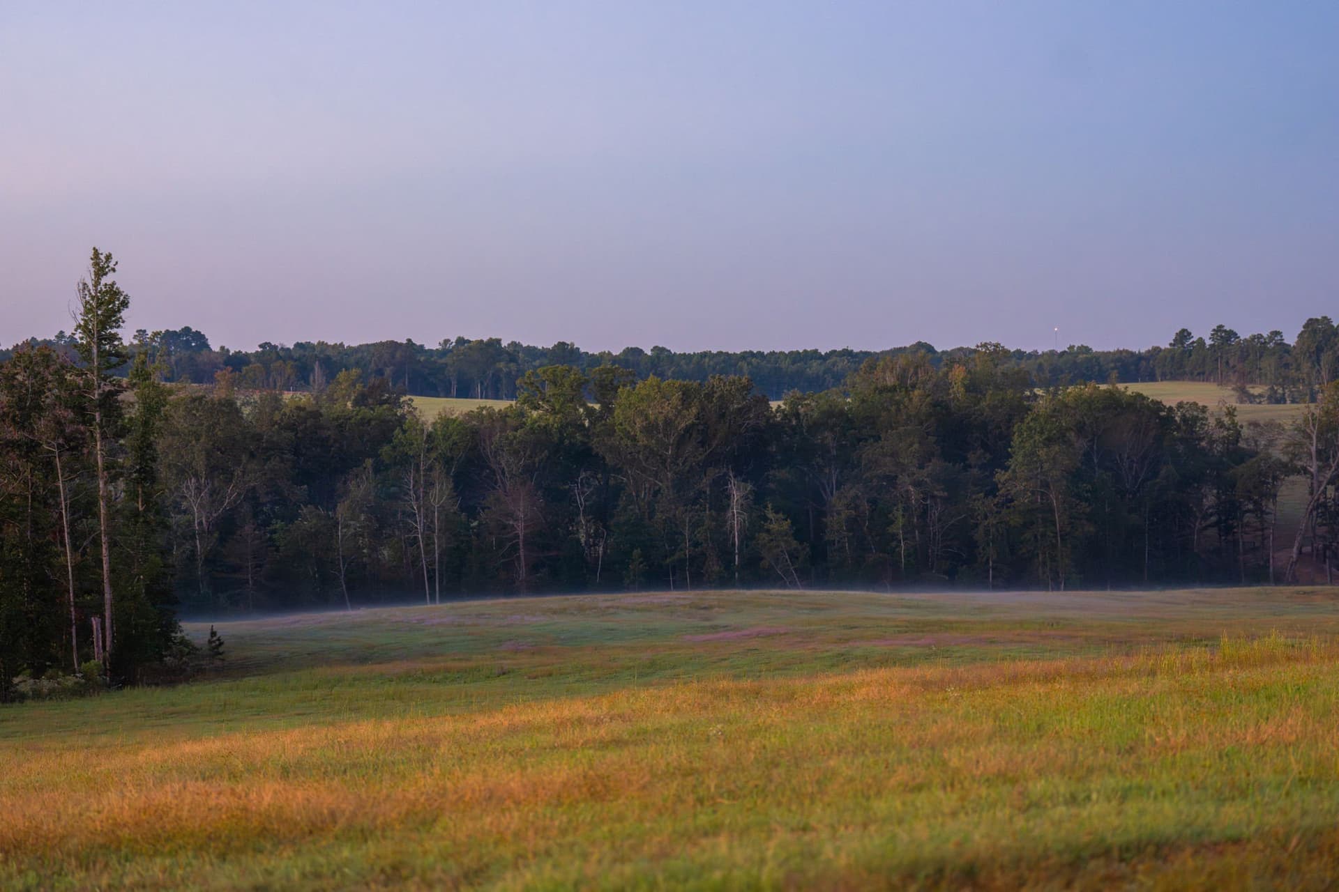 494.46 acres in Smith County - photo 35