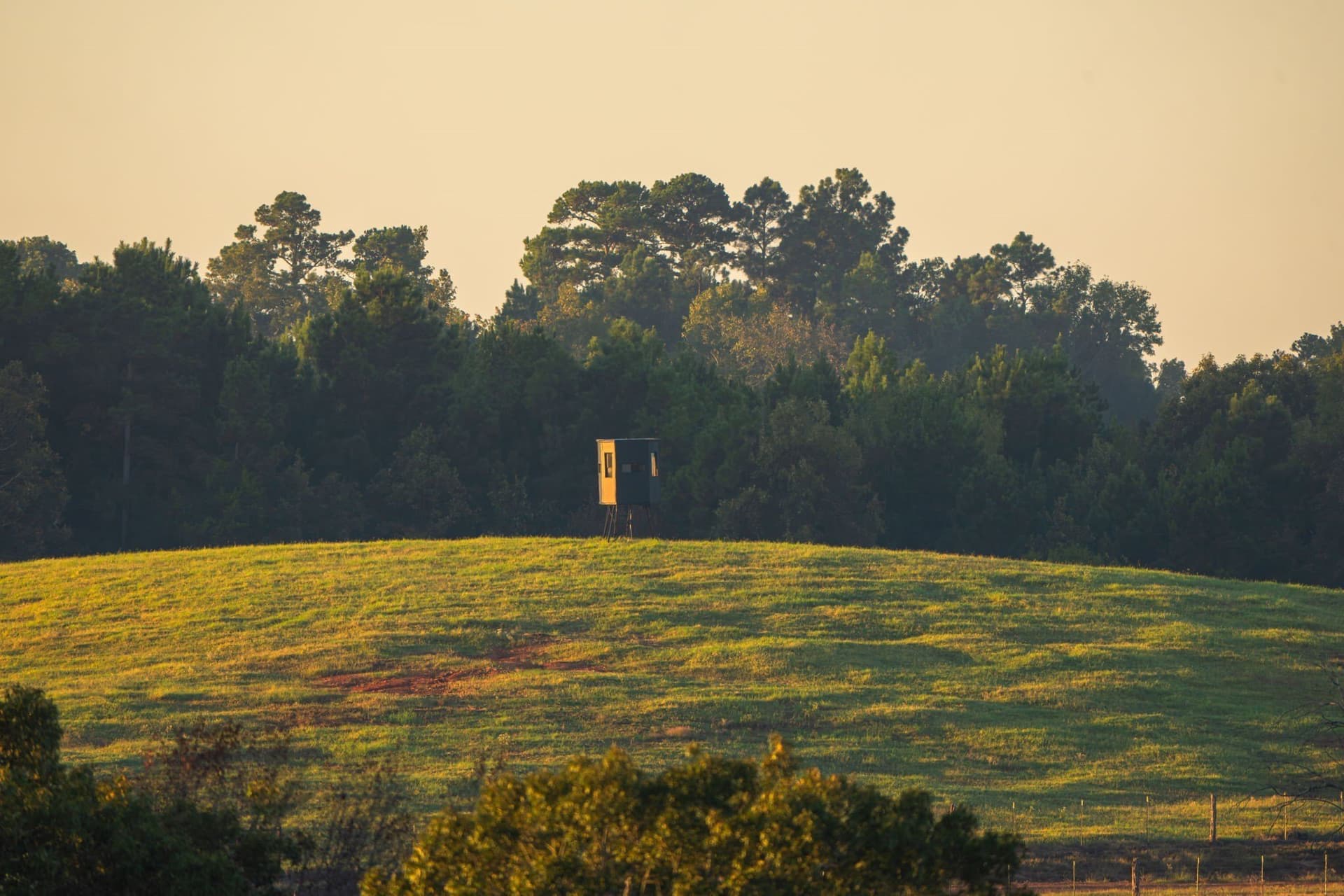 494.46 acres in Smith County - photo 11