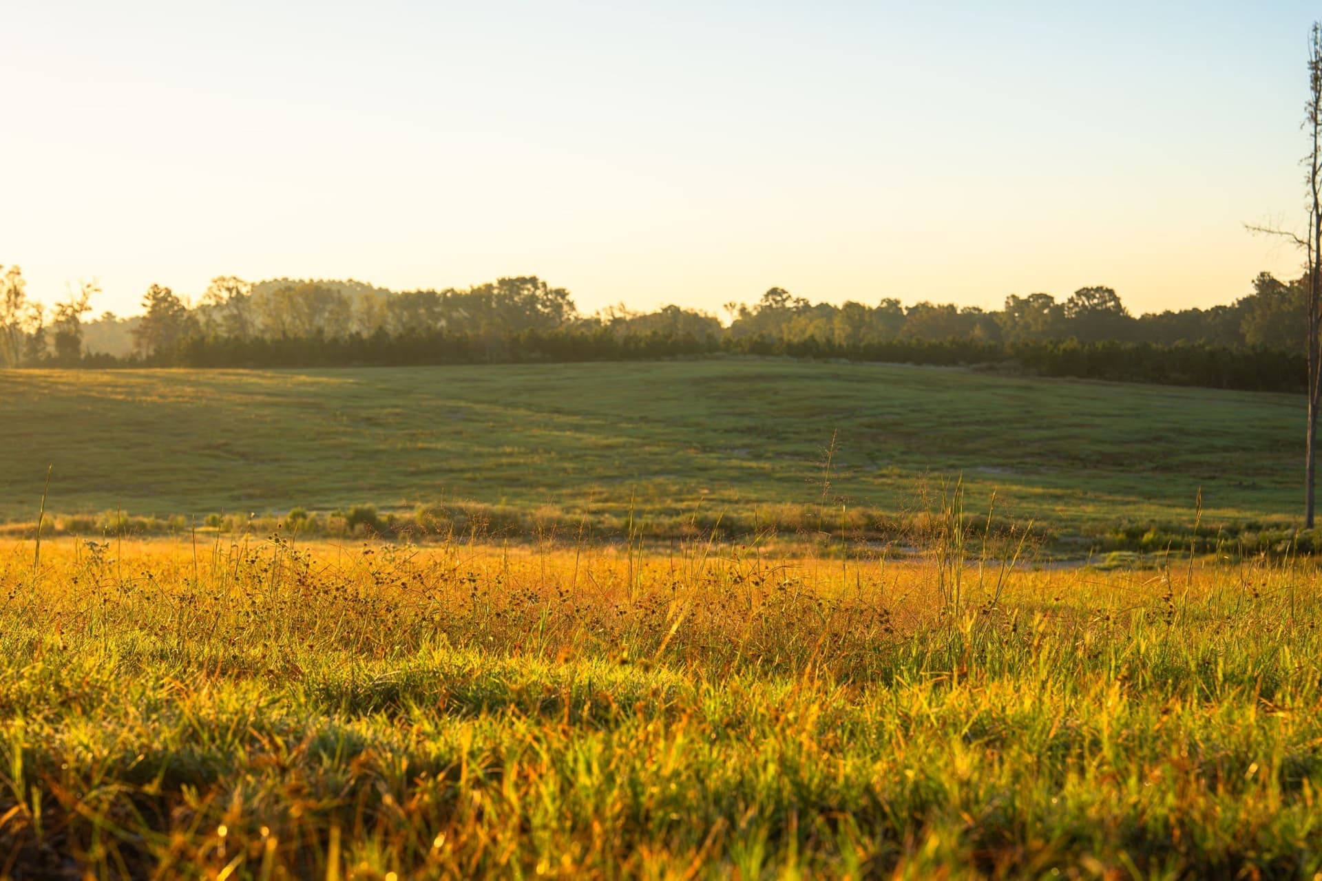 494.46 acres in Smith County - photo 34