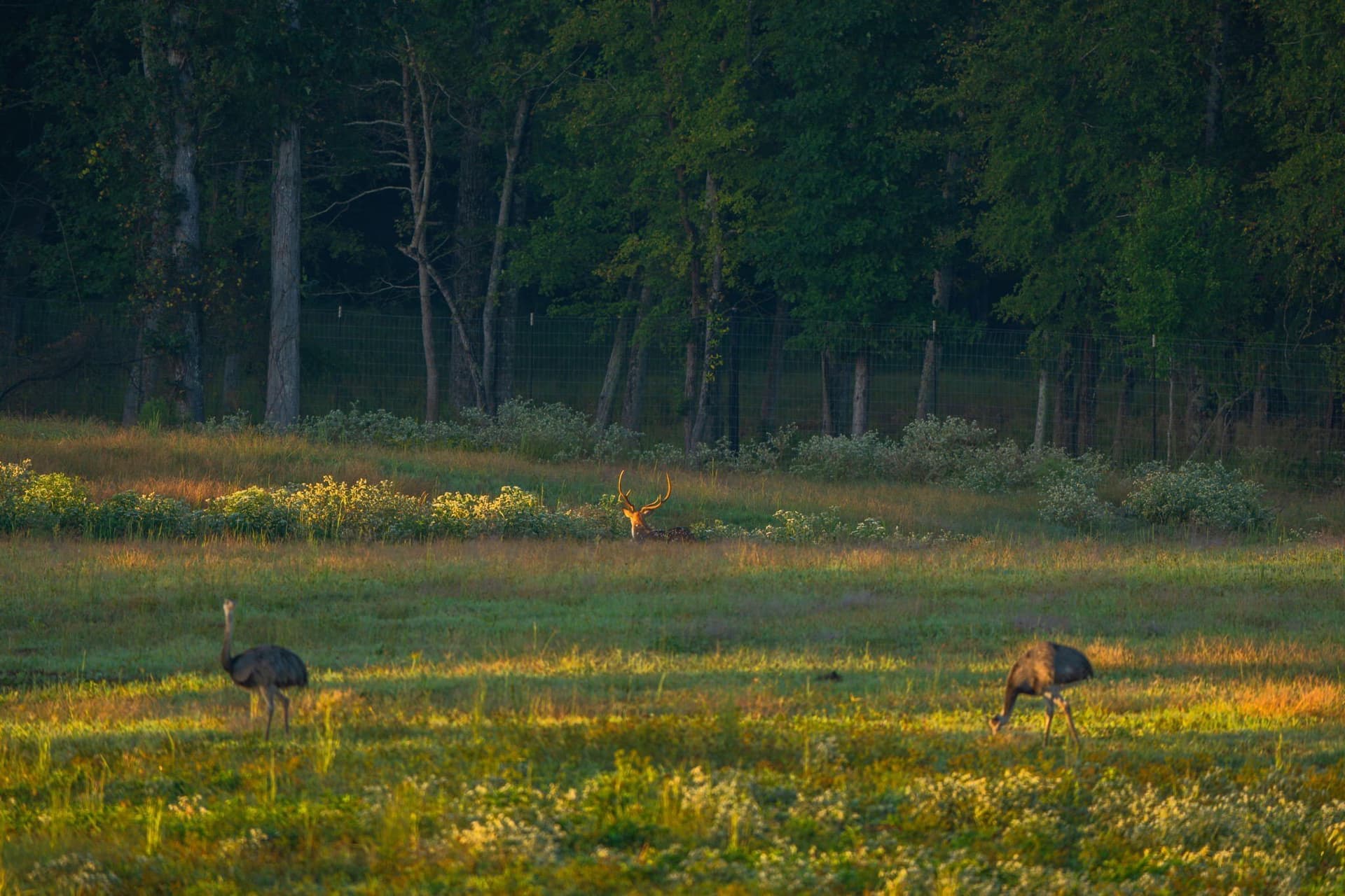 494.46 acres in Smith County - photo 40