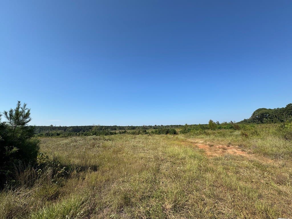 25 acres in Texas County - photo 15