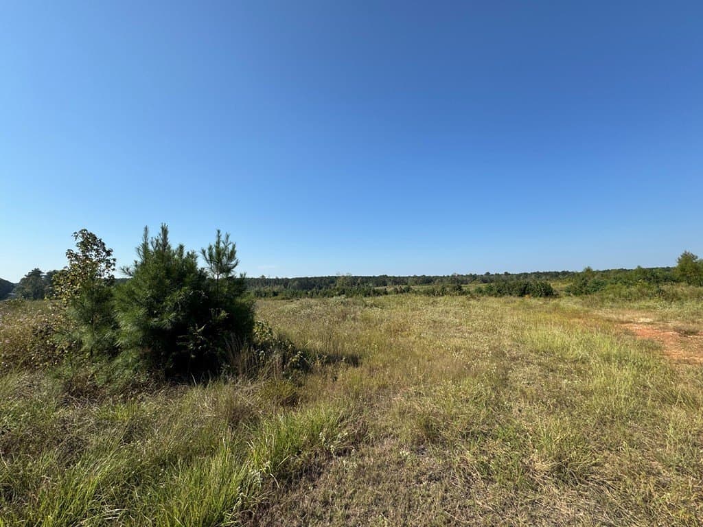 25 acres in Texas County - photo 16