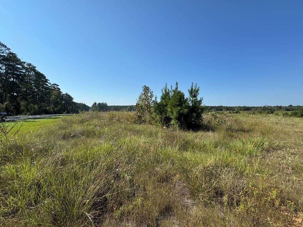 25 acres in Texas County - photo 14