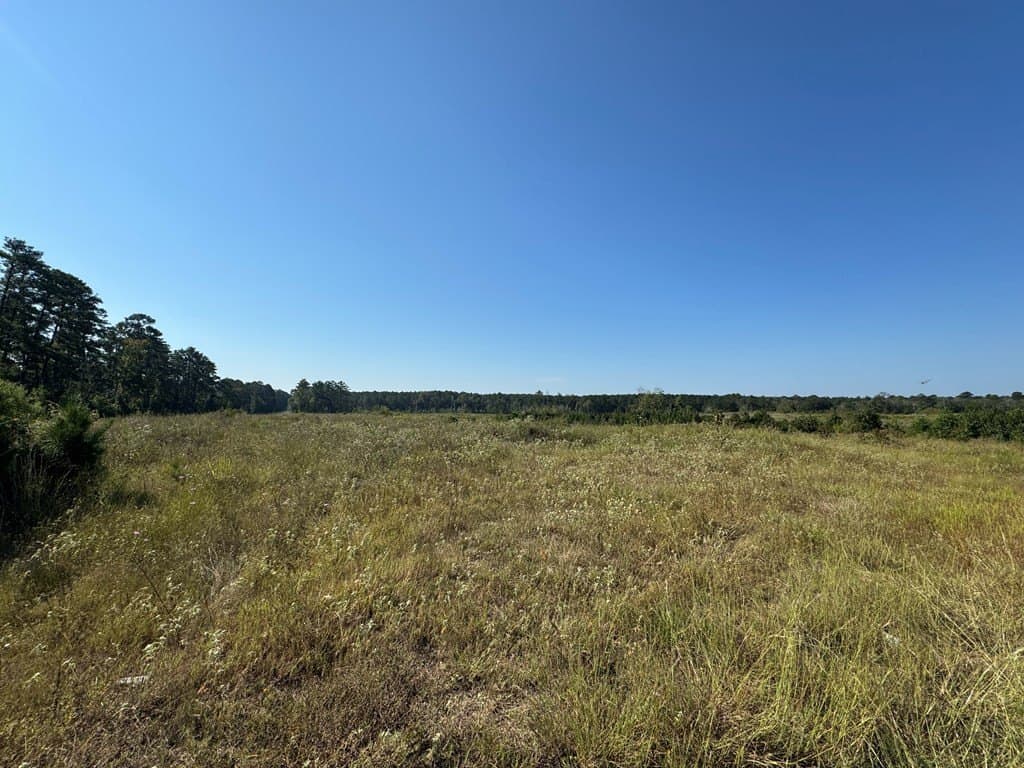 25 acres in Texas County - photo 12