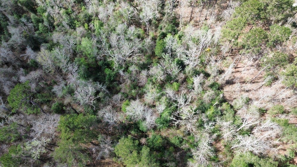 16.97 acres in Texas County - photo 18