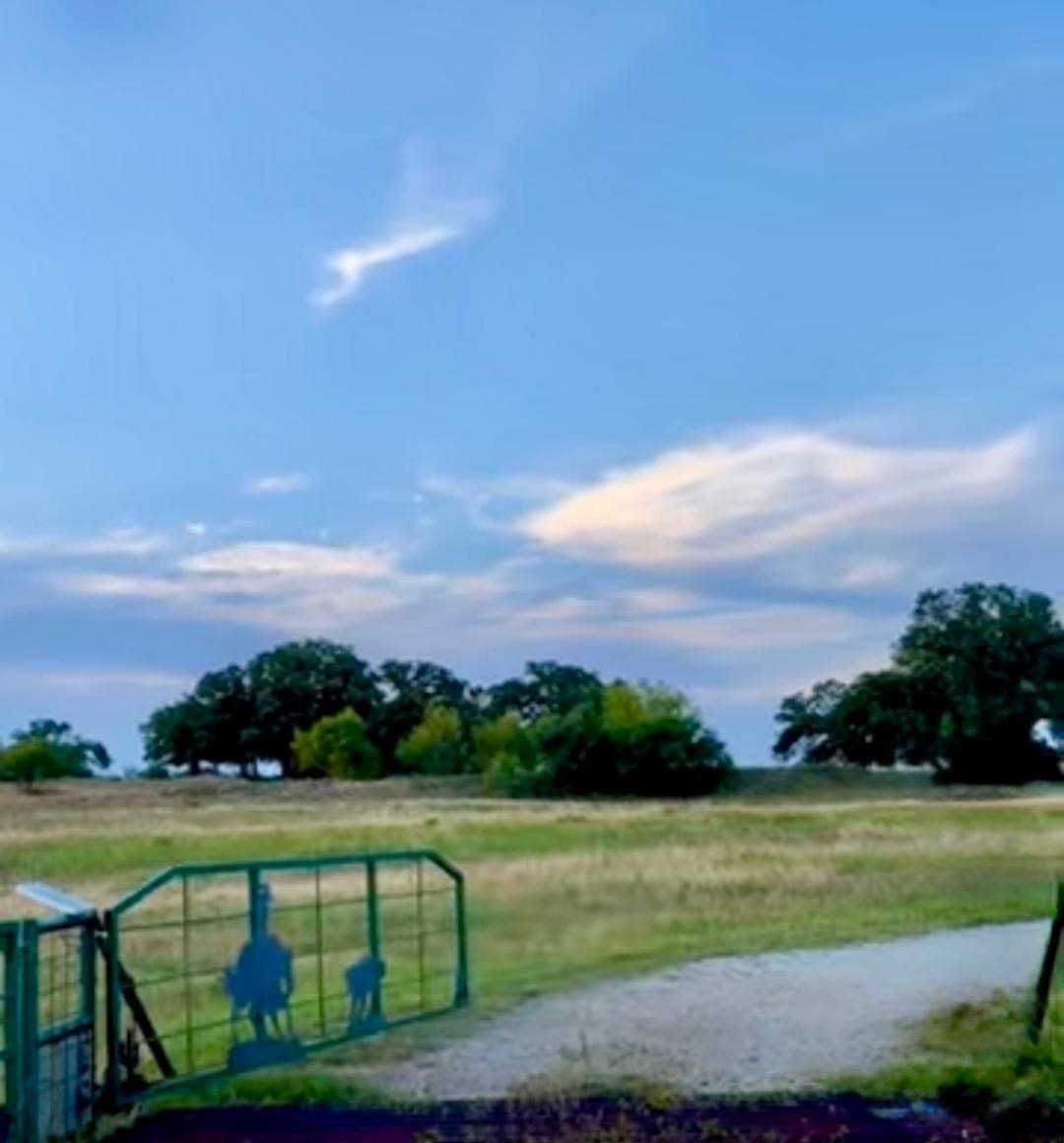 49 acres in Parker County - photo 4