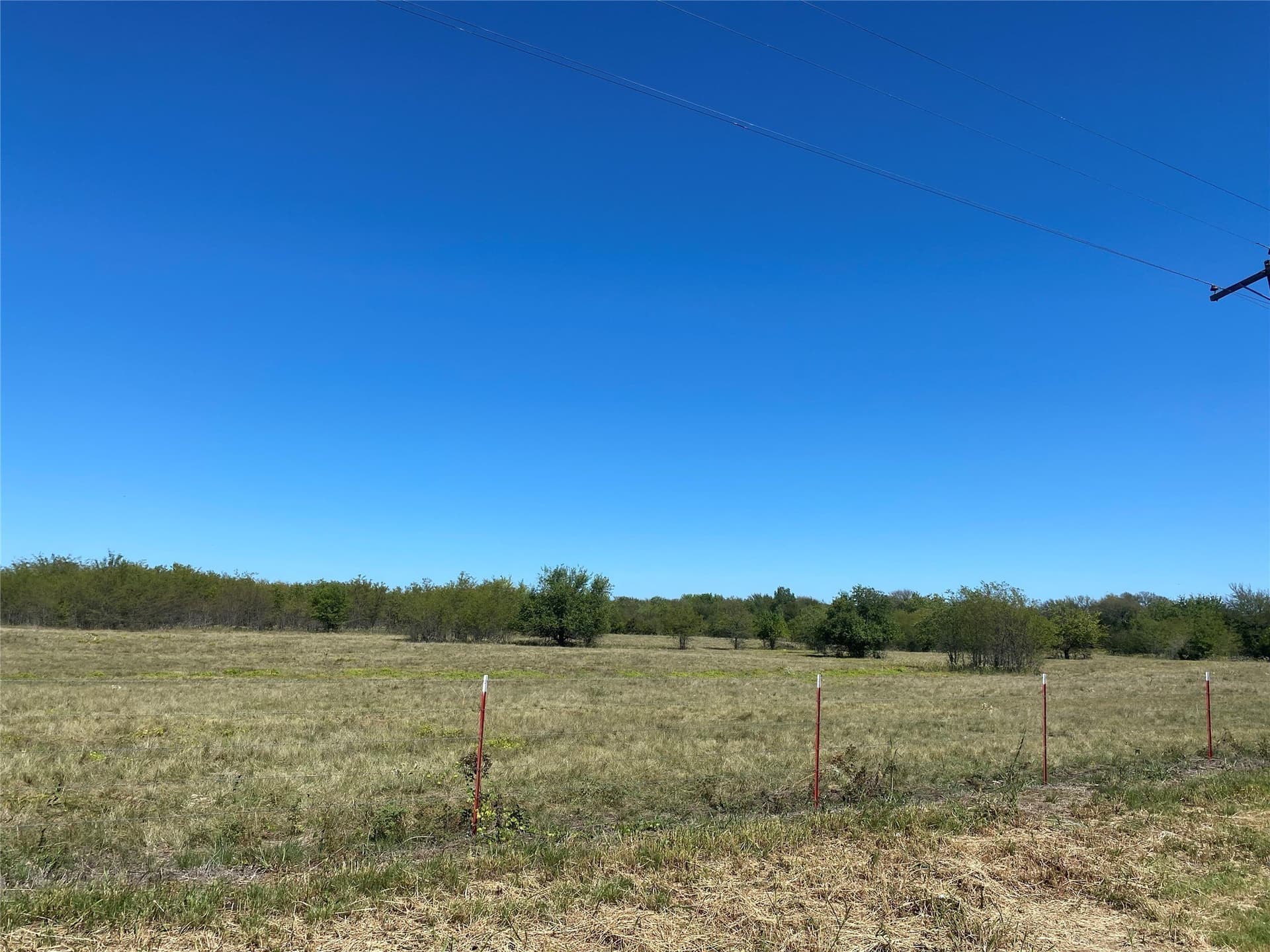11 acres in Grayson County - photo 6