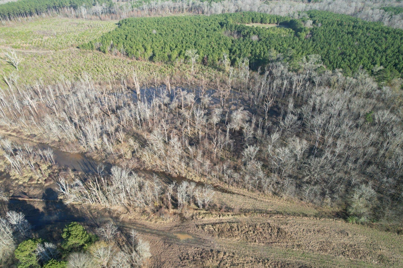 310 acres in Nacogdoches County - photo 5