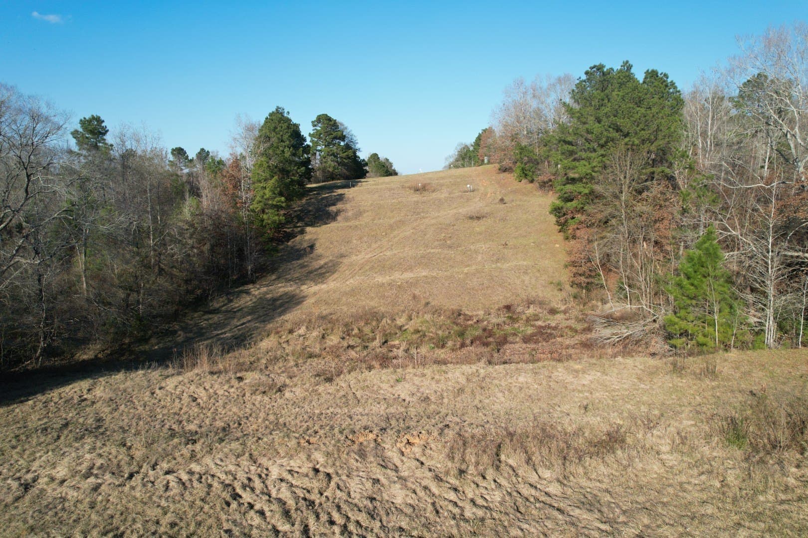 310 acres in Nacogdoches County - photo 3