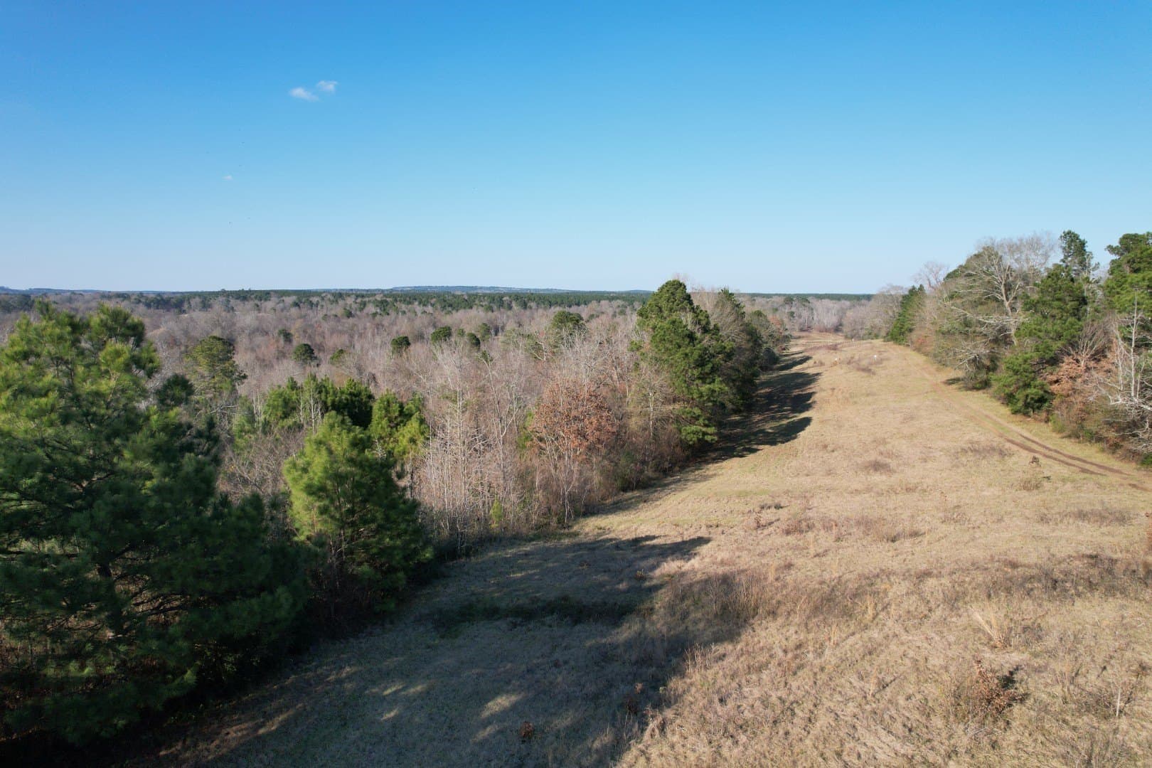 310 acres in Nacogdoches County - photo 4
