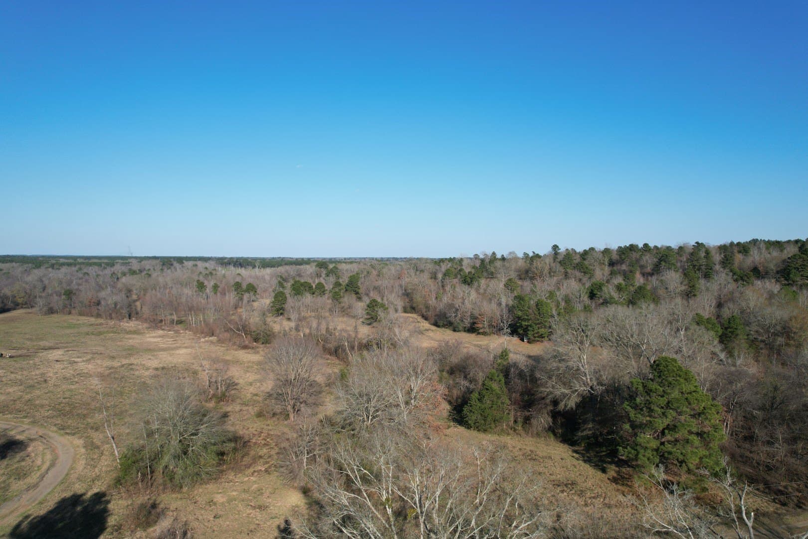 310 acres in Nacogdoches County - photo 2
