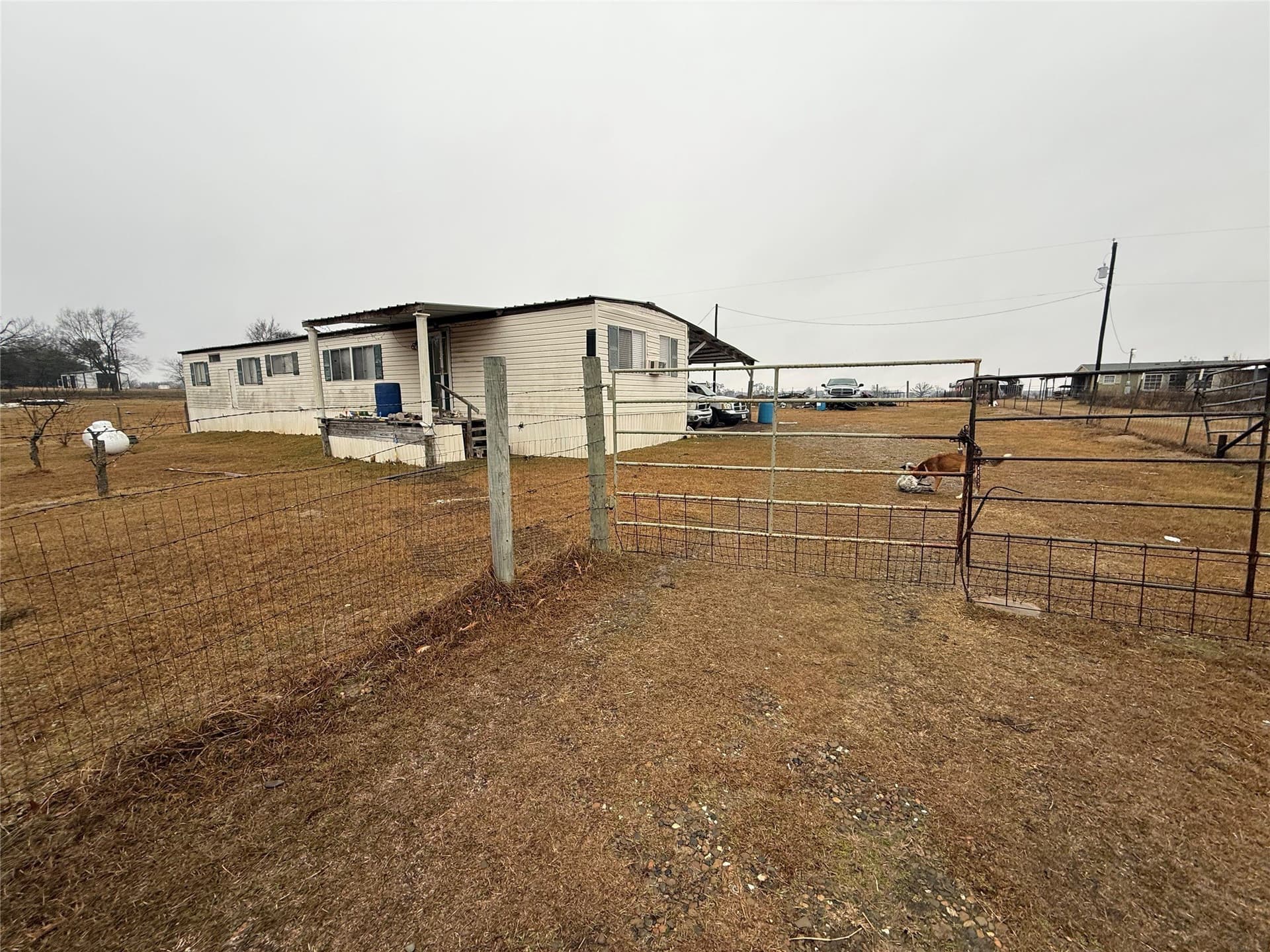 14.76 acres in Hopkins County gallery image 2