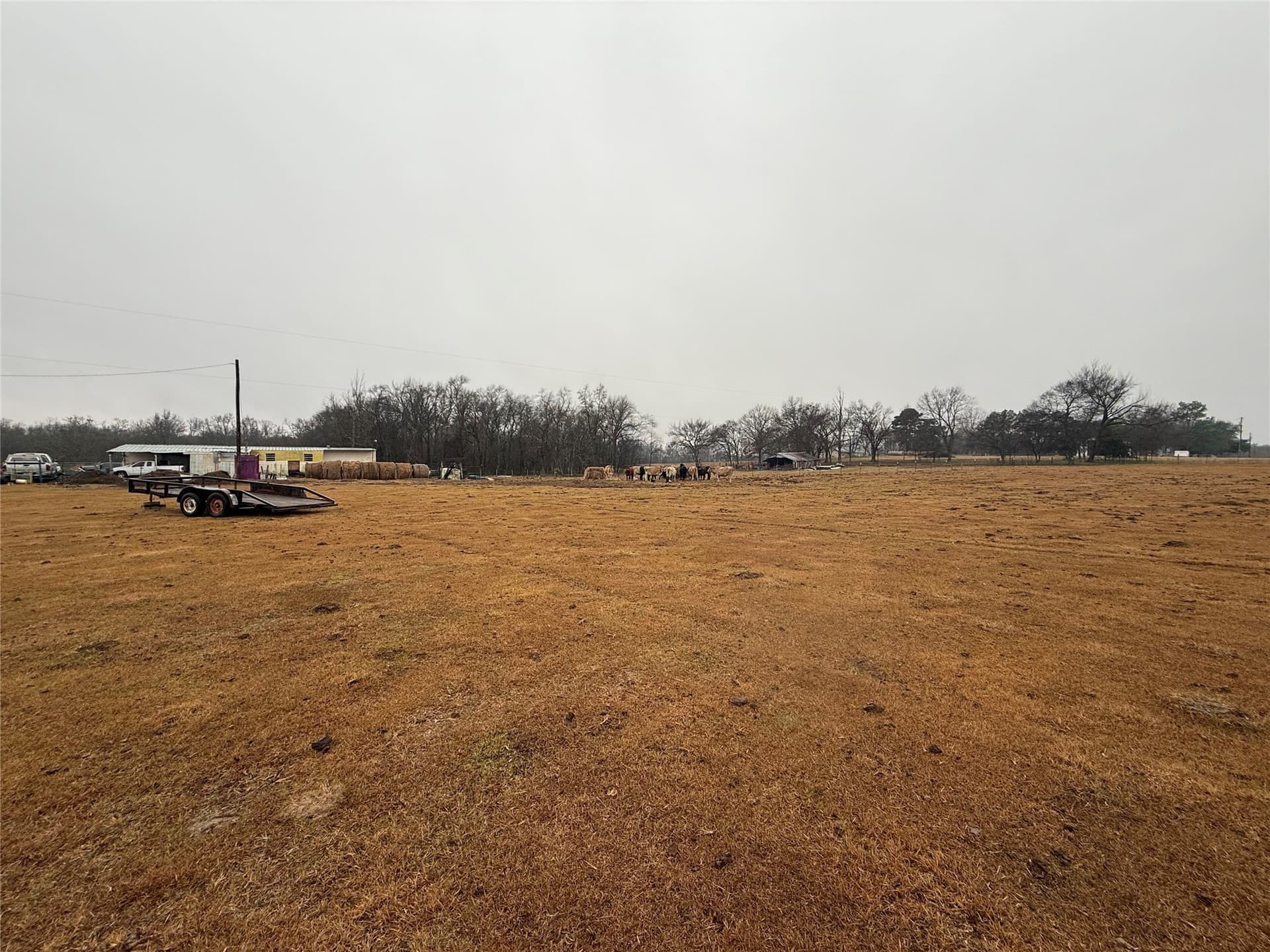 14.76 acres in Hopkins County gallery image 3