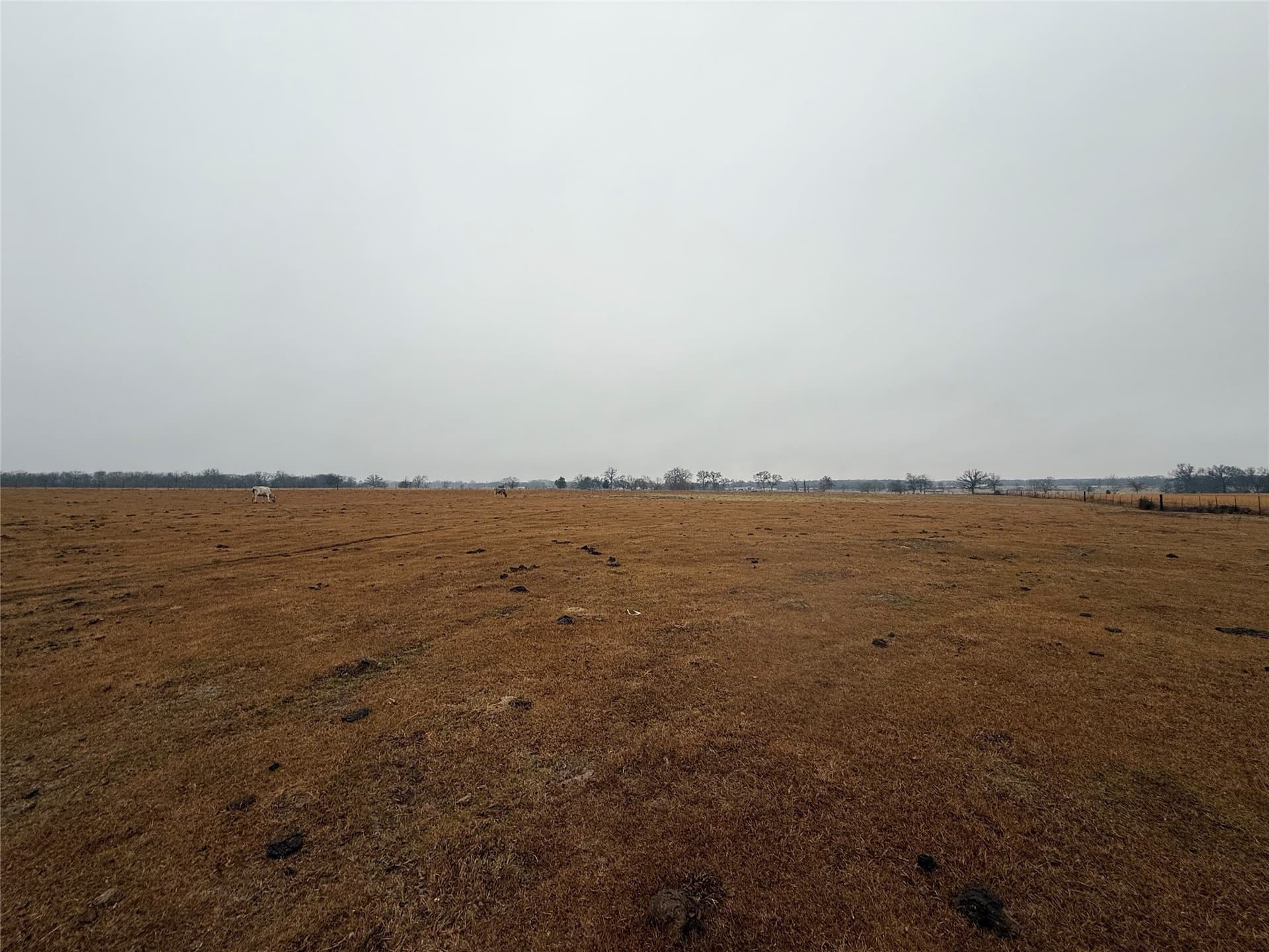 14.76 acres in Hopkins County
