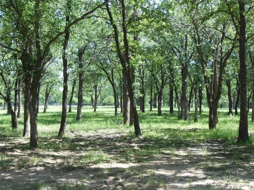 10.35 acres in Wise County gallery image 2