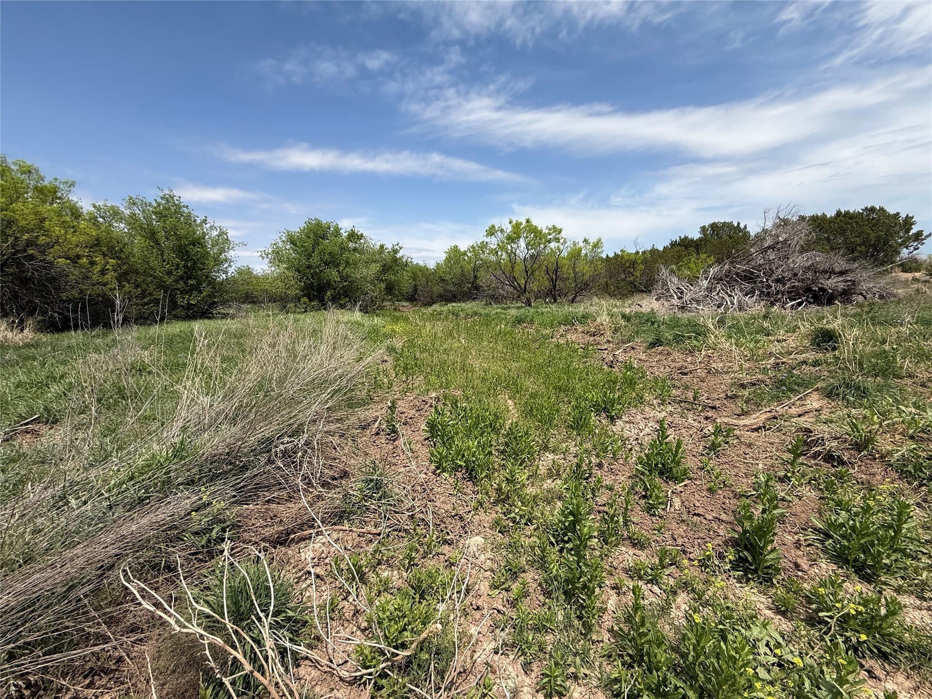 161.93 acres in Taylor County - photo 18