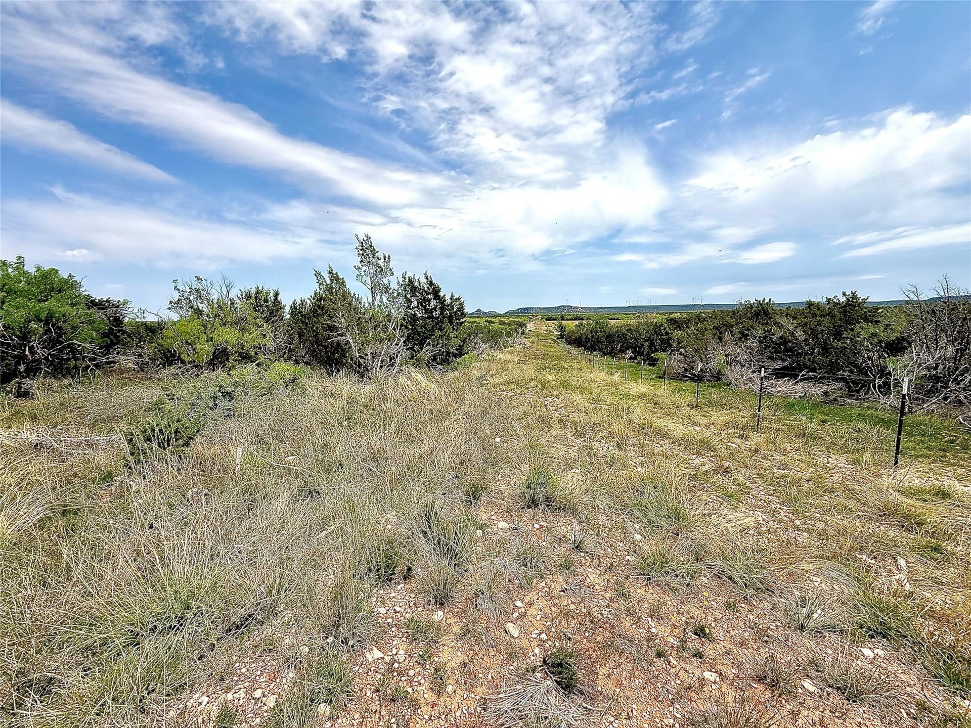 161.93 acres in Taylor County - photo 17