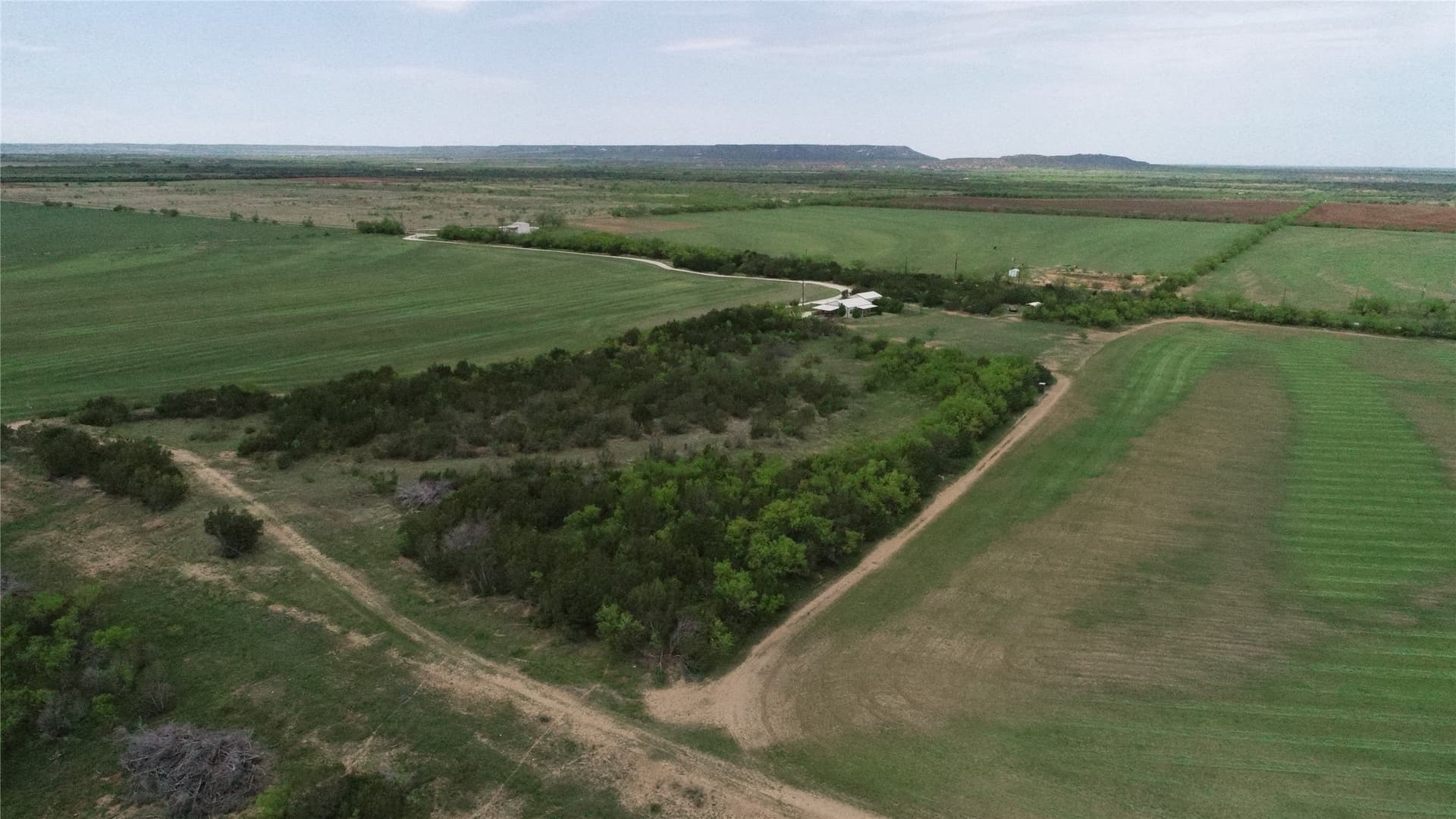 161.93 acres in Taylor County - photo 9