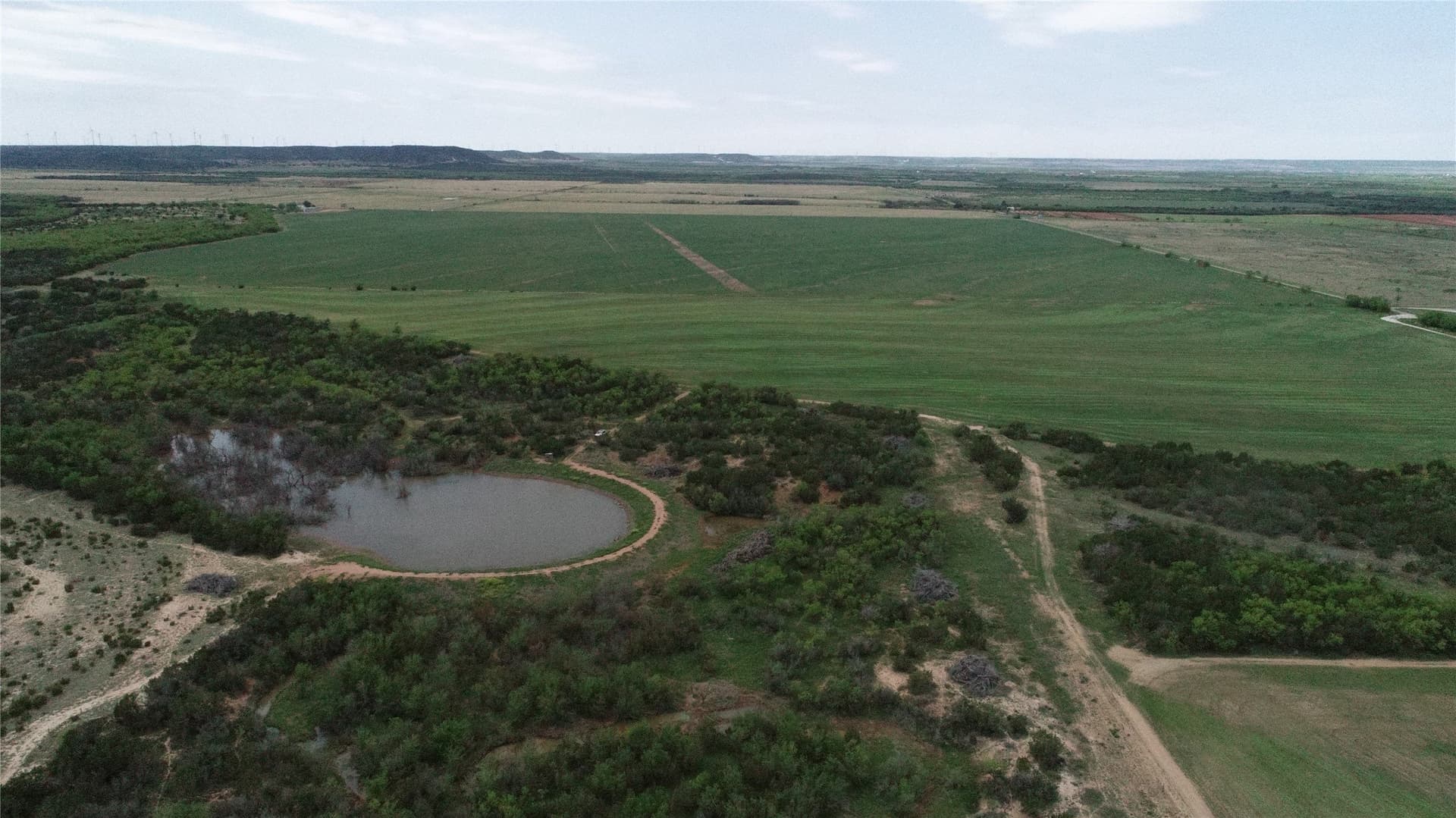 161.93 acres in Taylor County - photo 8