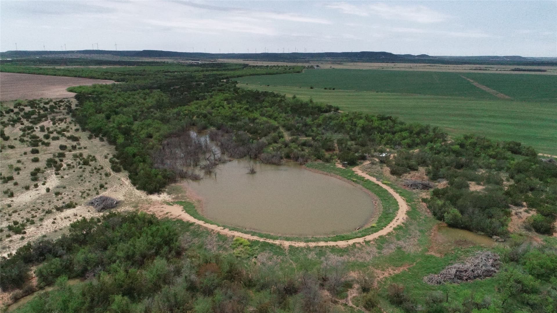 161.93 acres in Taylor County - photo 11