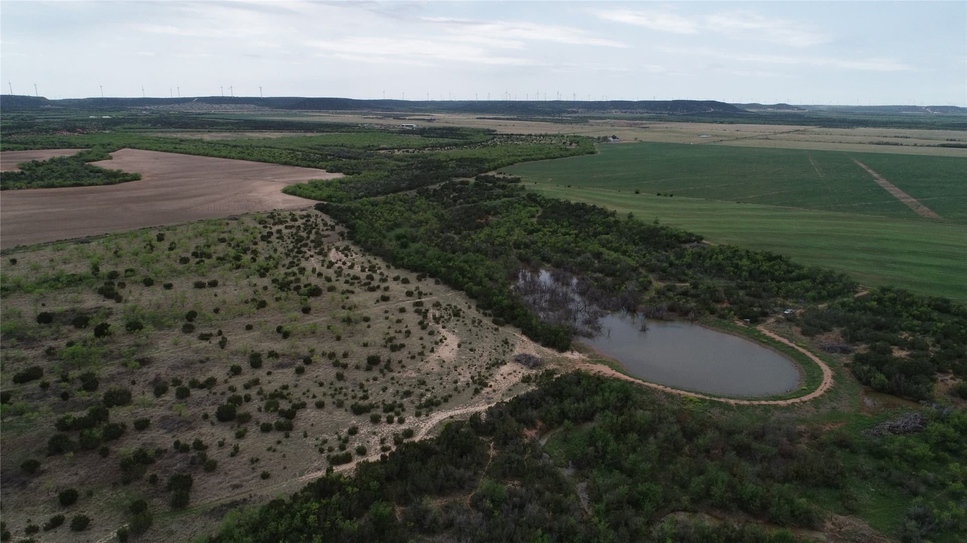161.93 acres in Taylor County - photo 7