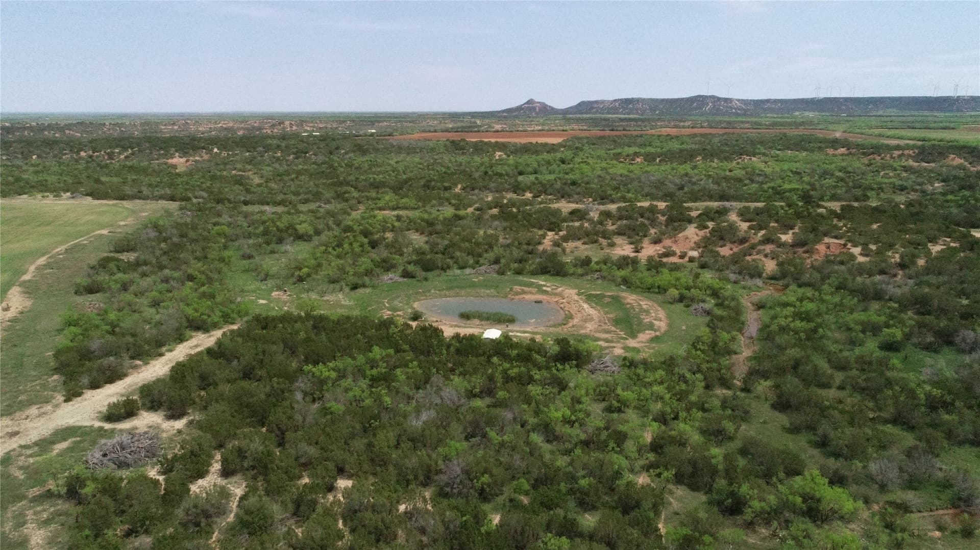 161.93 acres in Taylor County - photo 10