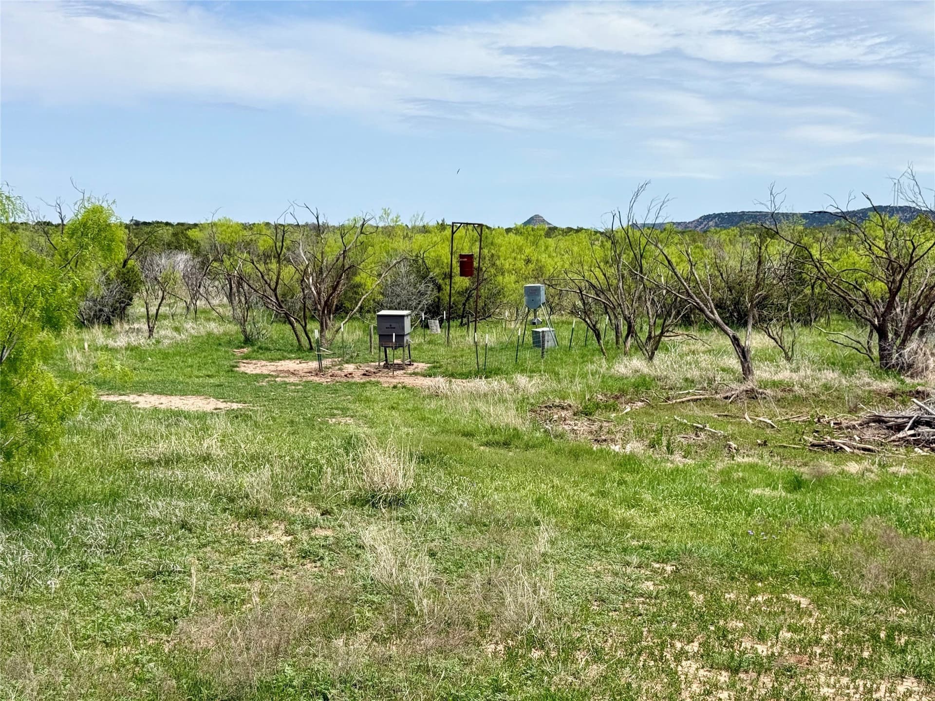 161.93 acres in Taylor County - photo 21