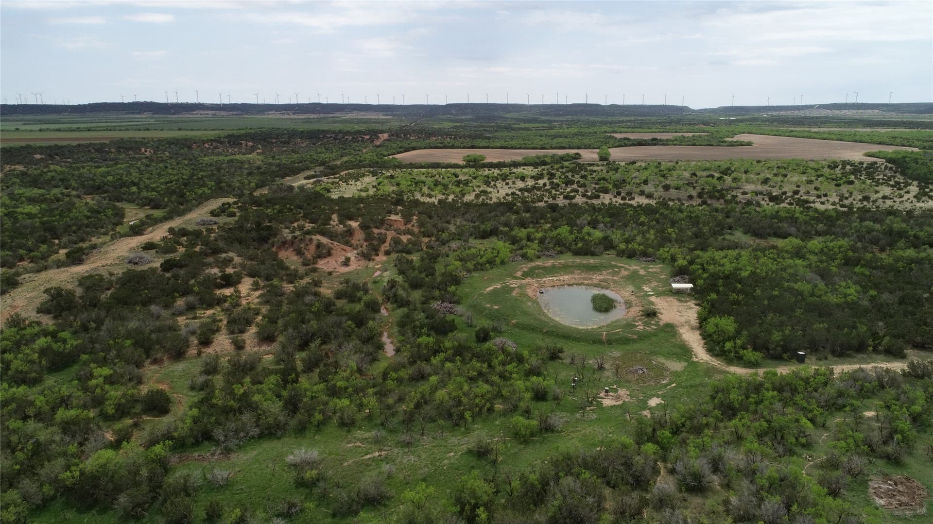 161.93 acres in Taylor County - photo 4