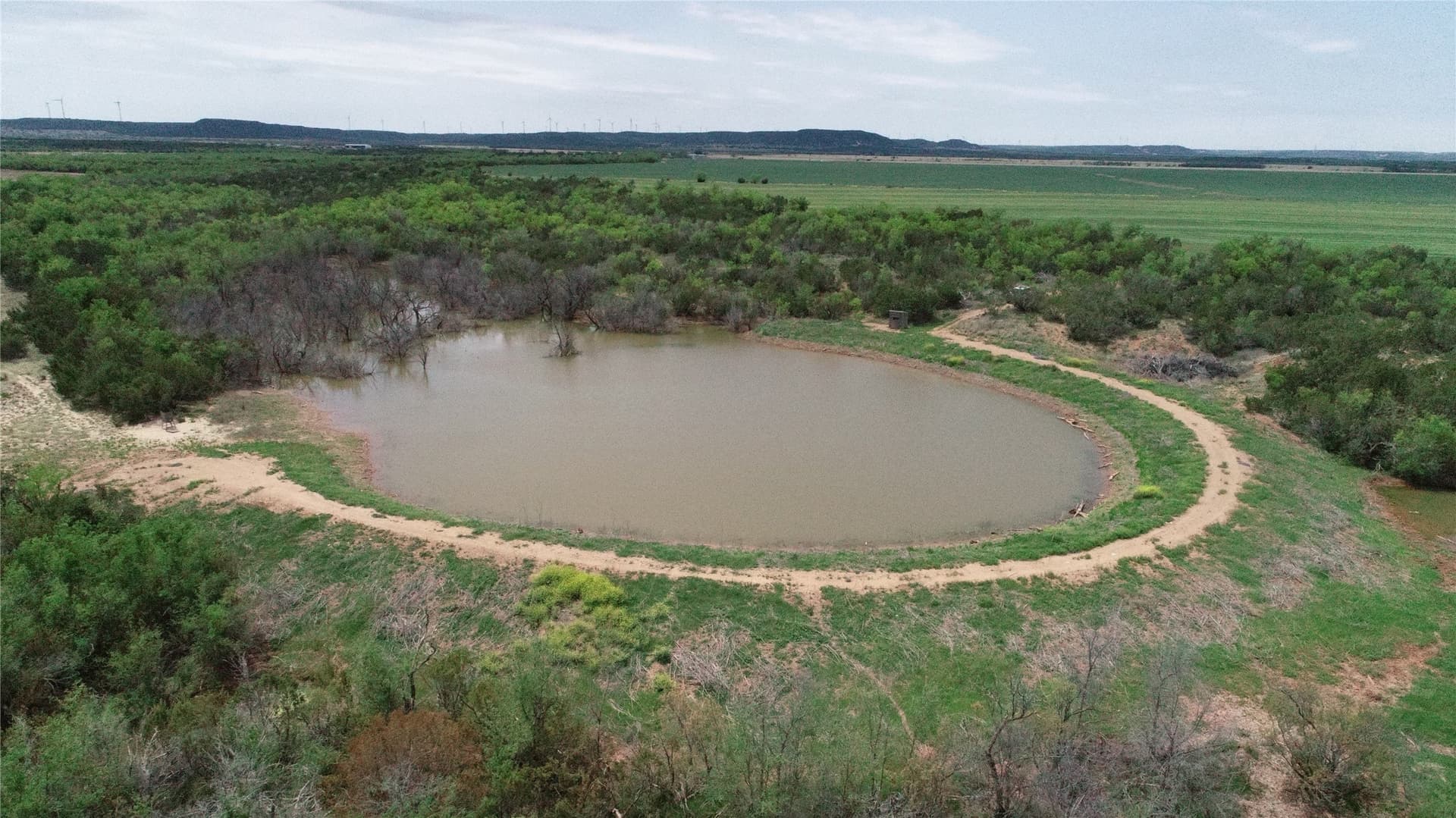 161.93 acres in Taylor County - photo 12