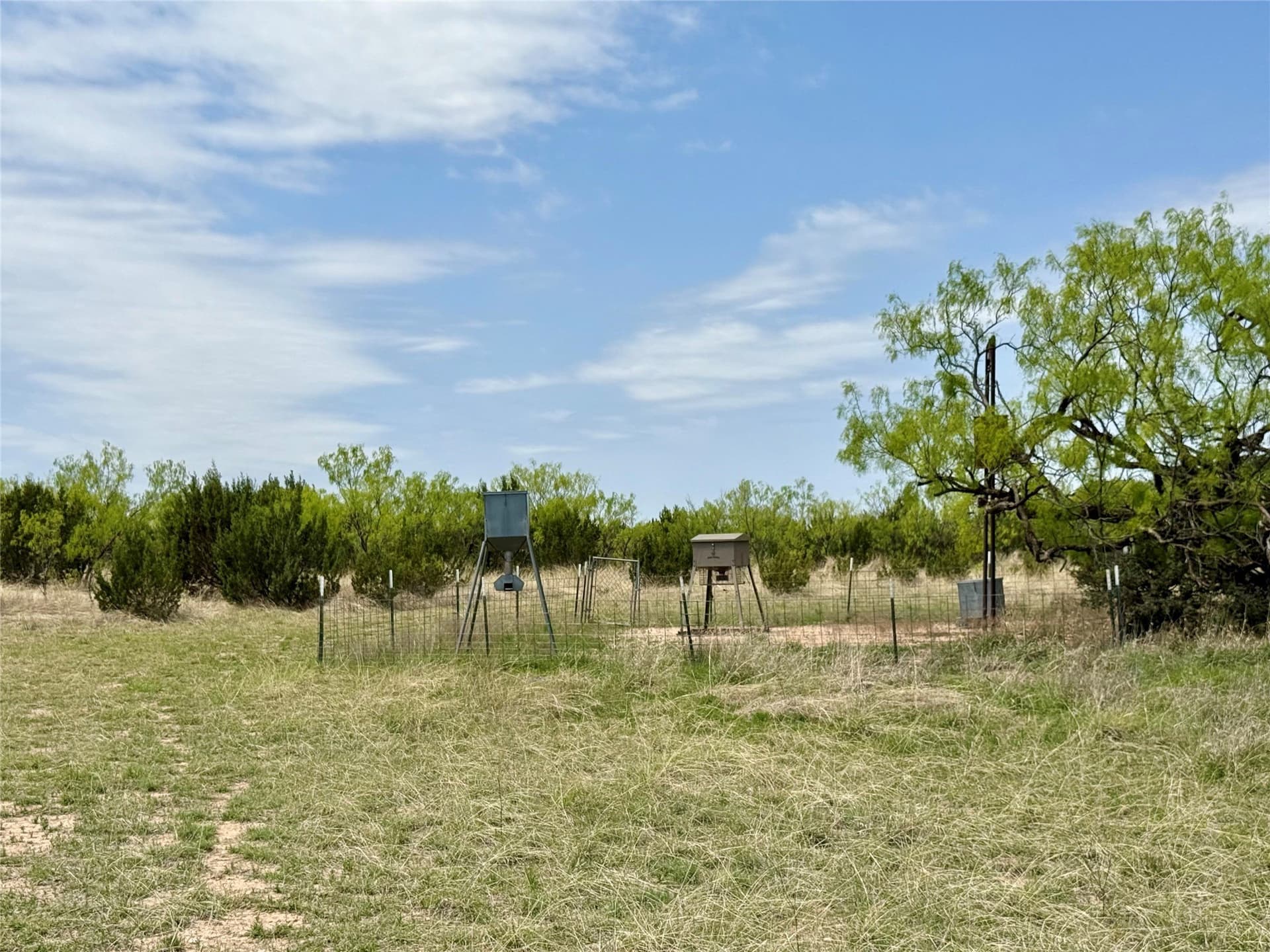 161.93 acres in Taylor County - photo 19