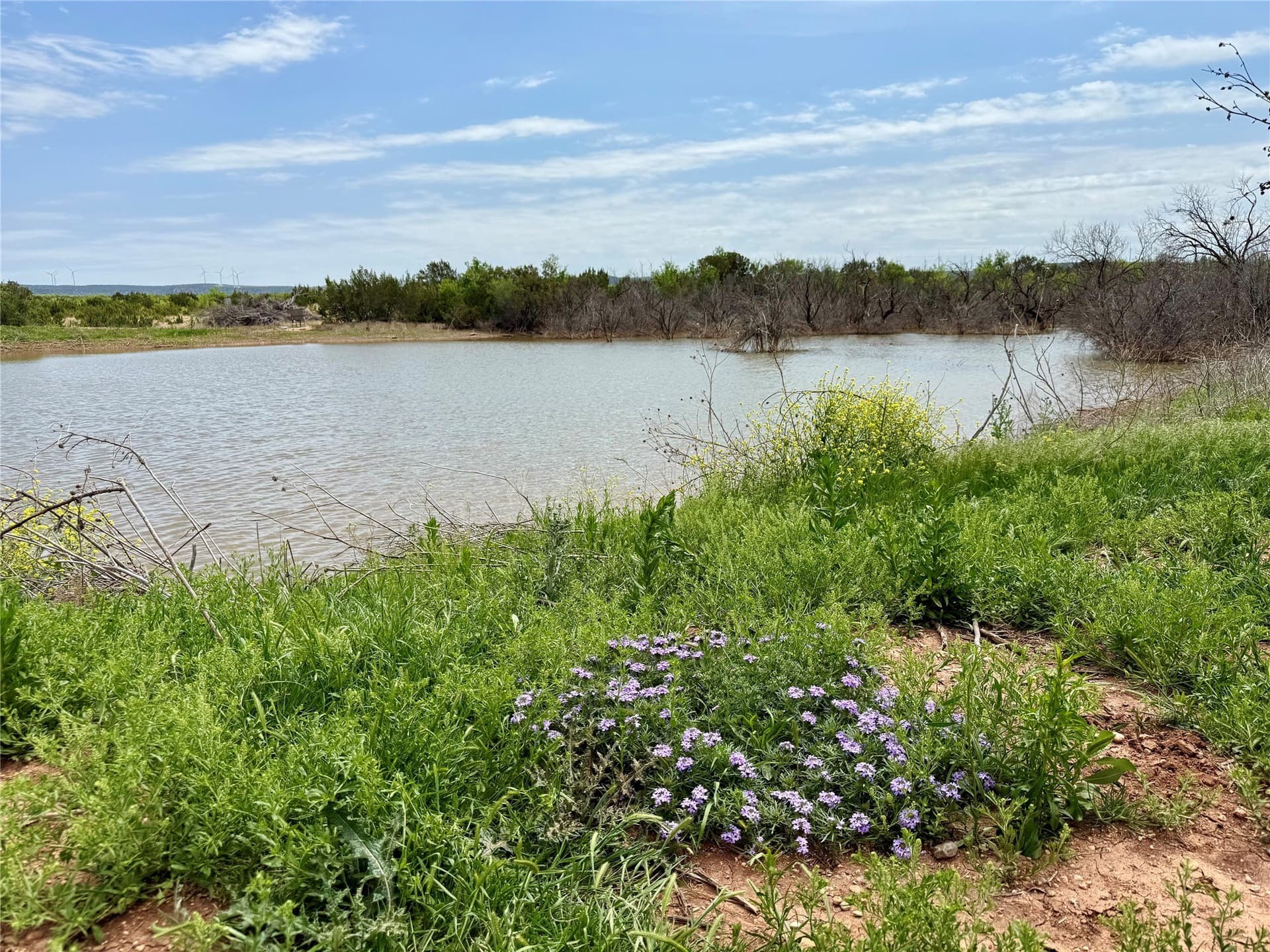 161.93 acres in Taylor County - photo 16