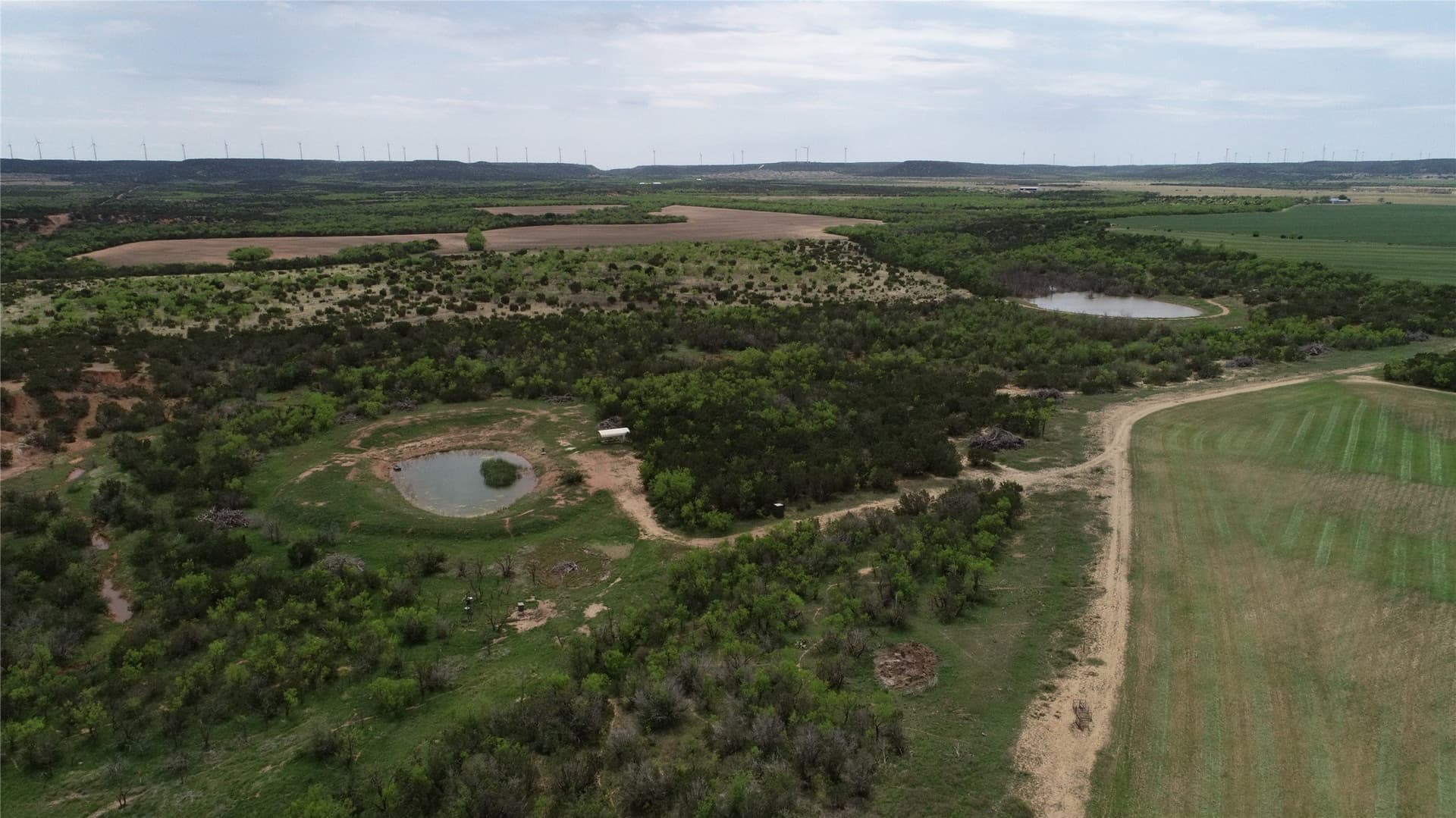 161.93 acres in Taylor County - photo 5